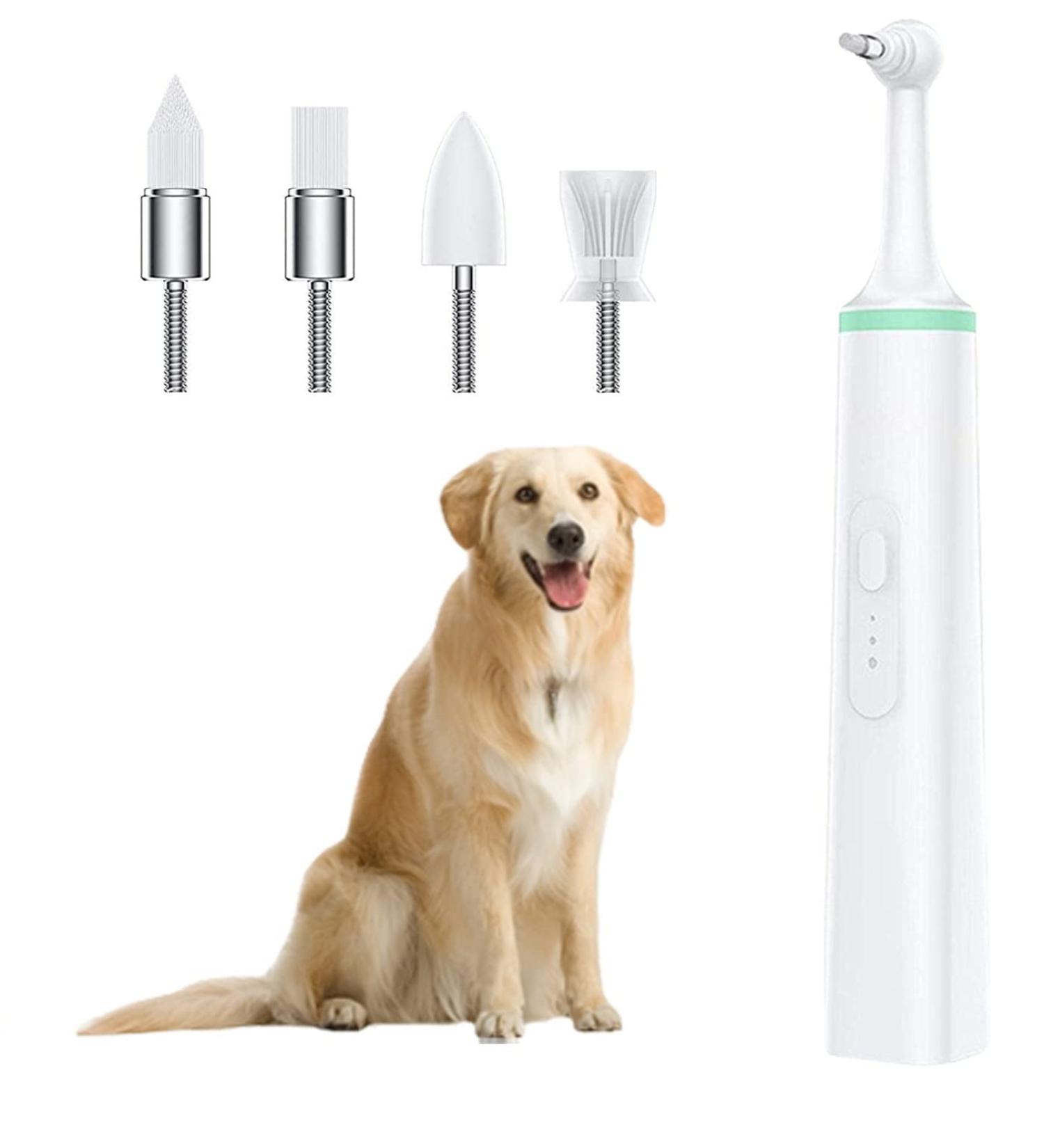 Teeth Stain Plaque Remover Electric Tooth Polisher Tartar Remover for People and Pet Dog IPX6 Waterproof Teeth Cleaning Tools with 4 Polishing Heads - Buy Online on GoSupps.com