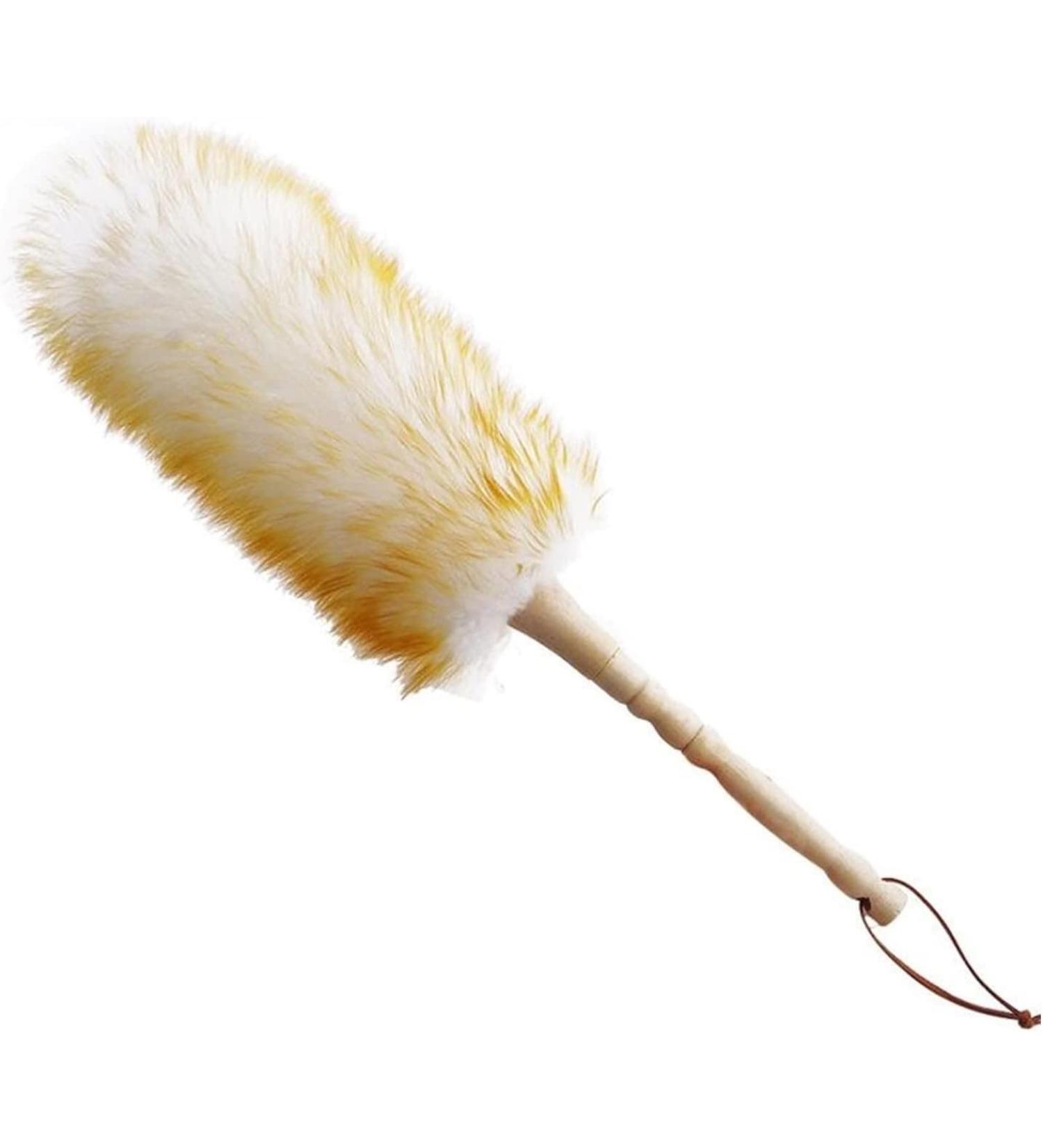 Set Duster Brush Household Duster Dusting Cleaning Brush Duster Brush for Cleaning Vehicles Office and Housework Dusting Handle Dusters Brushes - Buy Online on GoSupps.com