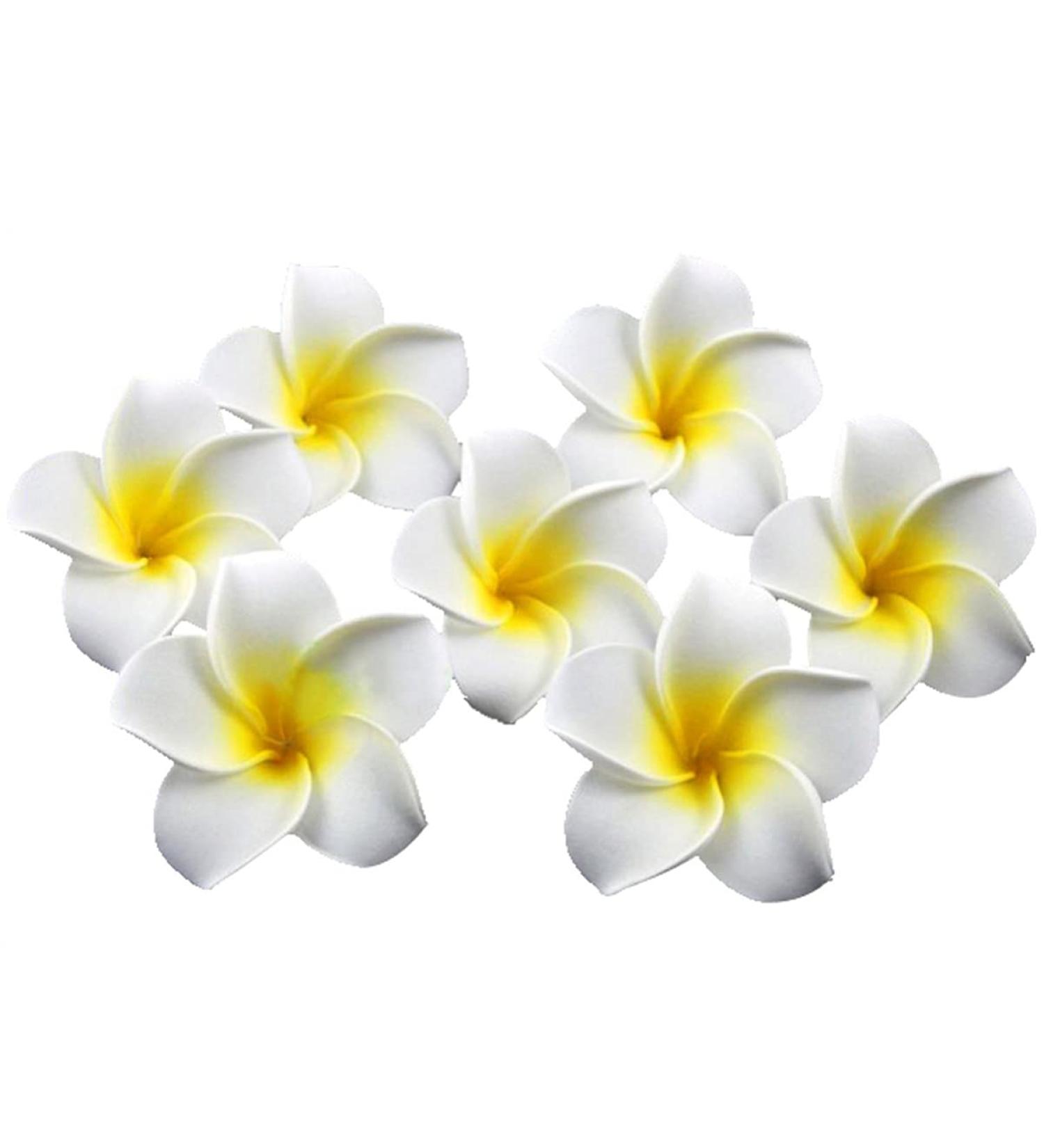 Minkissy 100Pcs 6CM Hawaiian Plumeria Foam Flowers - Artificial Frangipani for DIY Hair Hat Wedding & Beach Party Decor (White) - Buy Online on GoSupps.com