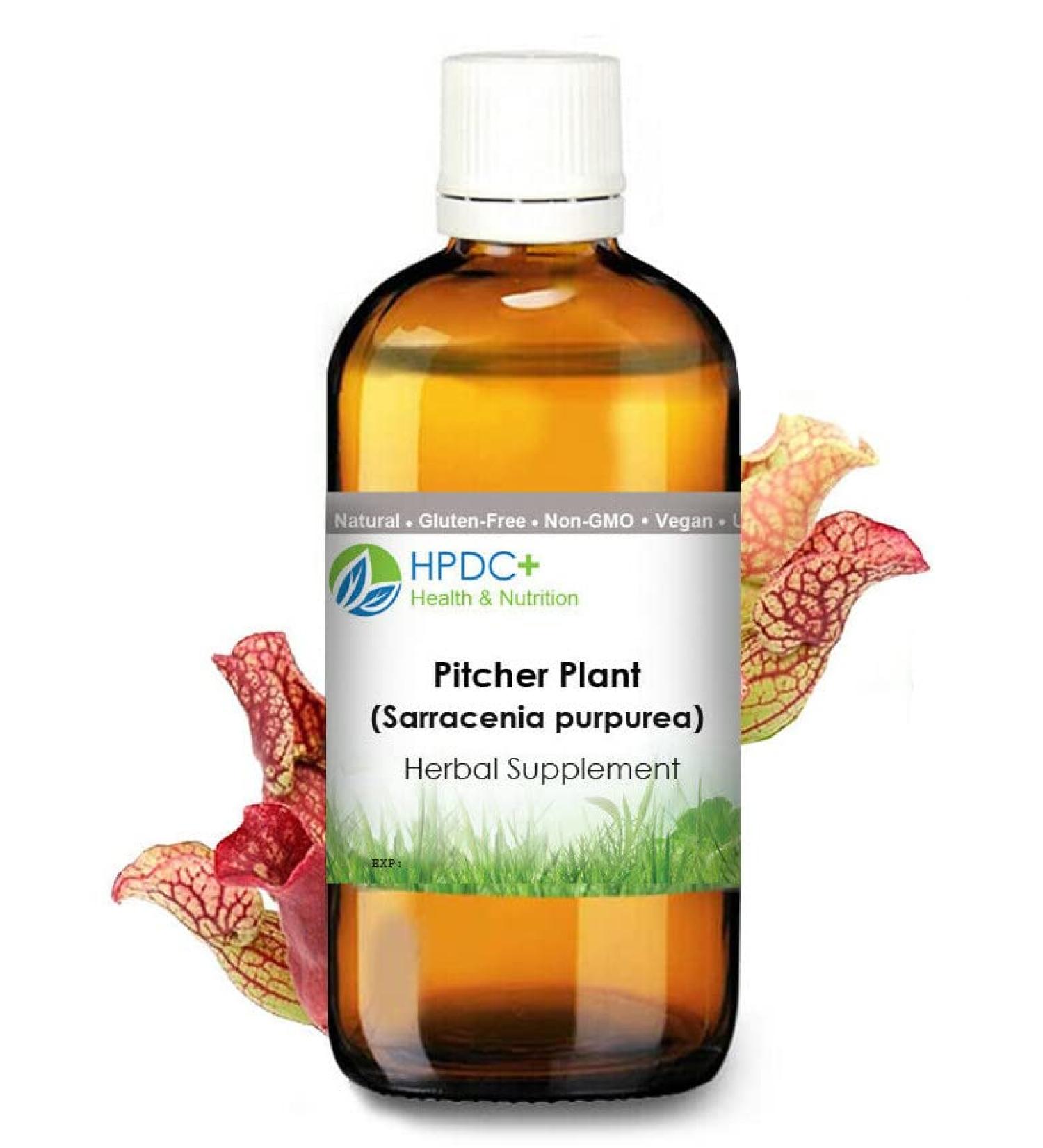 HPDC+ Health & Nutrition Pitcher S. Pox Plant/Sarracenia purpurea Tincture Tincture Extract 1 fl oz / 30ml (1.69 fl oz / 50ml) 1 Fl Oz (Pack of 1) - Buy Online on GoSupps.com