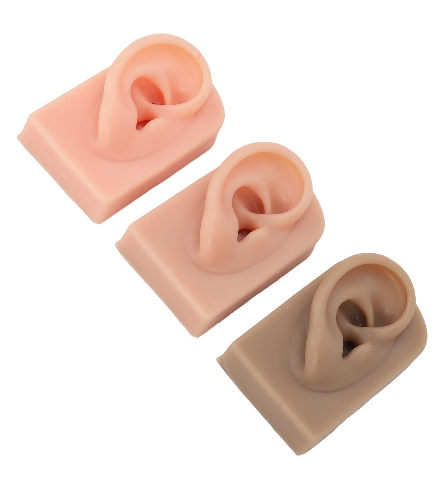Flexible Reusable Human Ear Model for Acupuncture Training - 3pcs Right Ear, 3 Colors - Buy Online on GoSupps.com
