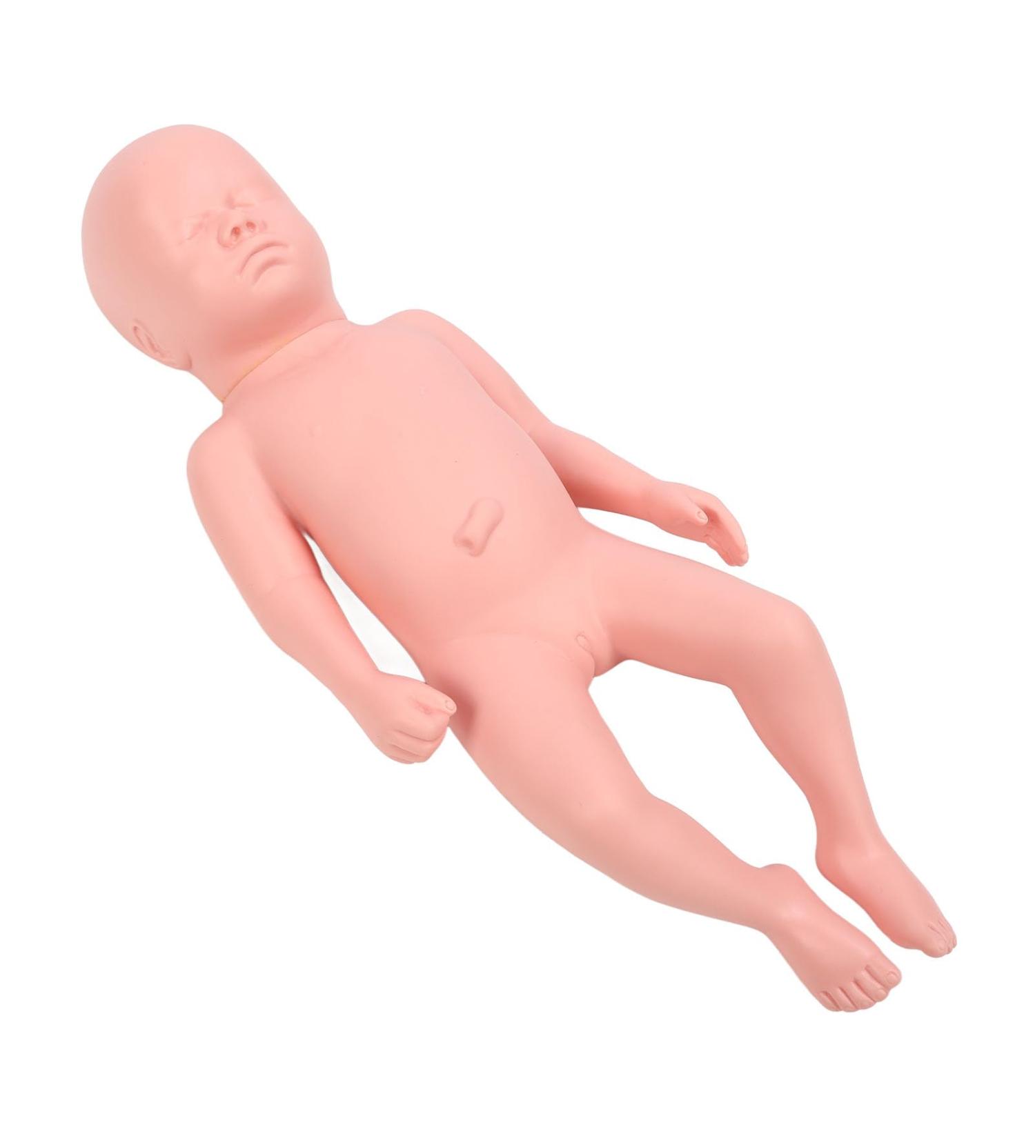 High Simulation Plastic Baby Doll for Teaching withFeatures Easy to Clean Suitable for Colleges and Clinical Training - Buy Online on GoSupps.com