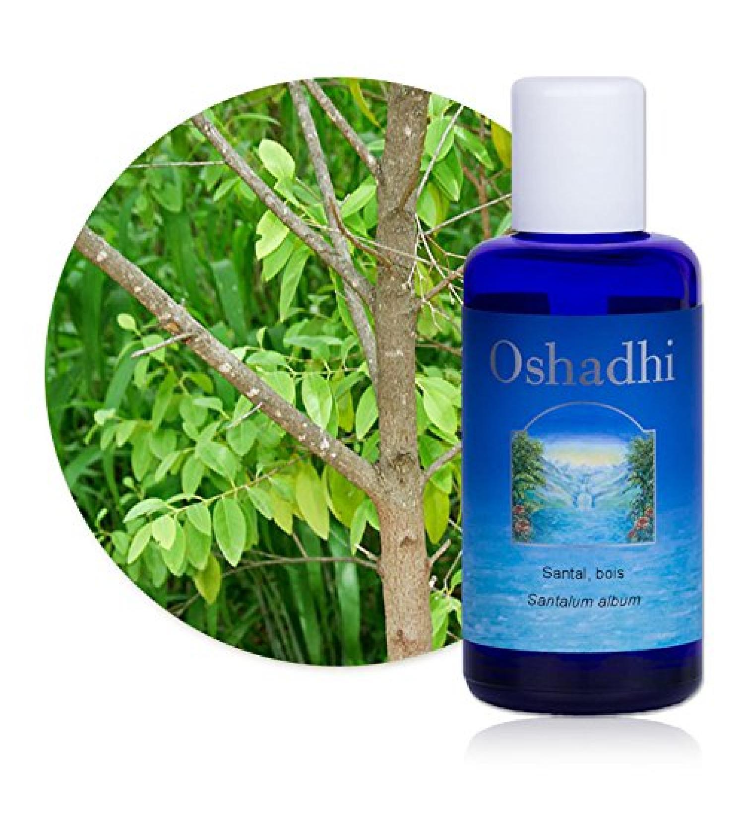 Hydrolat (Floral water): Sandalwood, wood - Santalum album - 100 ml