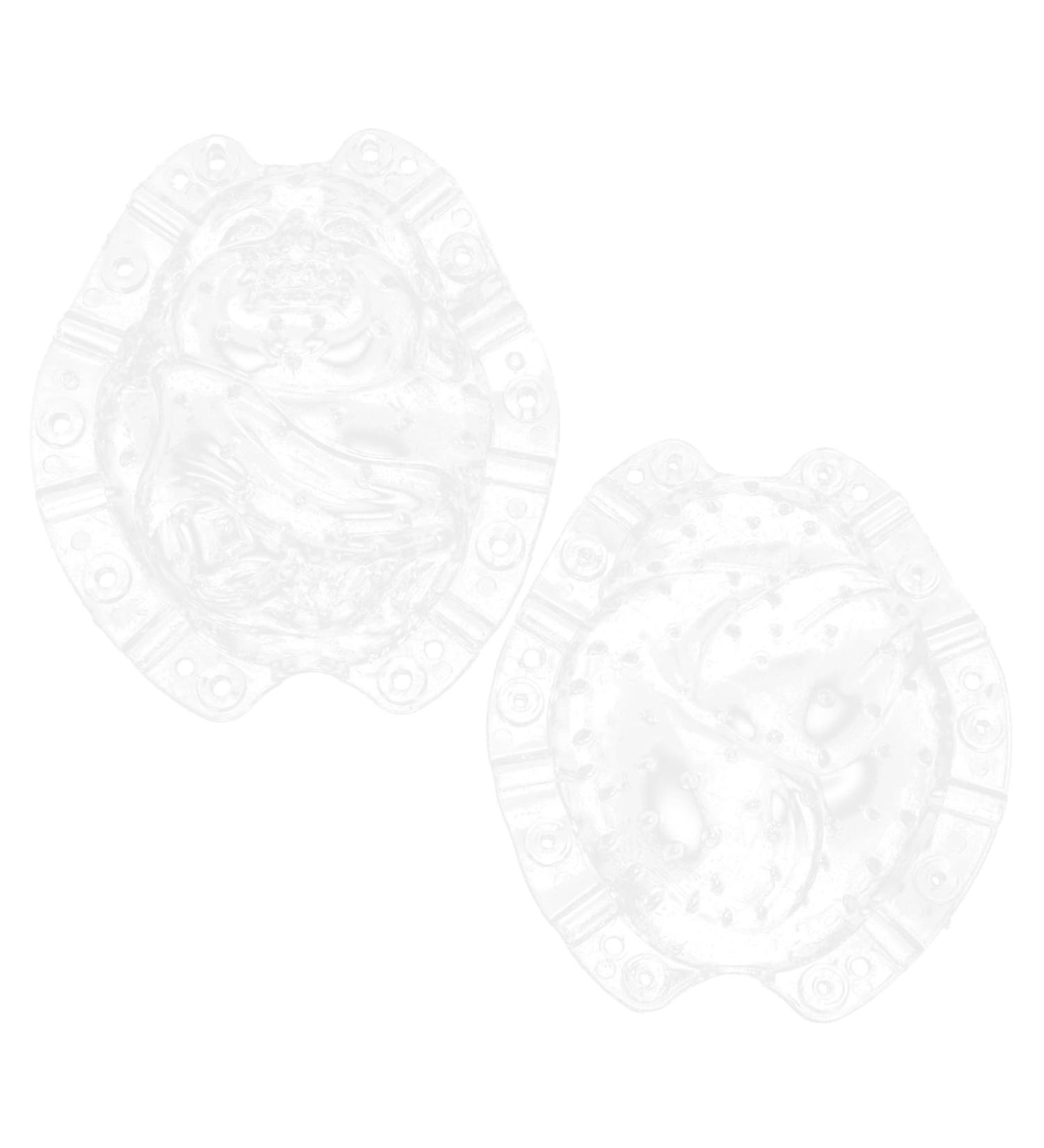 CAXUSD Shaped Fruitful Small Fruit Watermelon - Buy Online on GoSupps.com