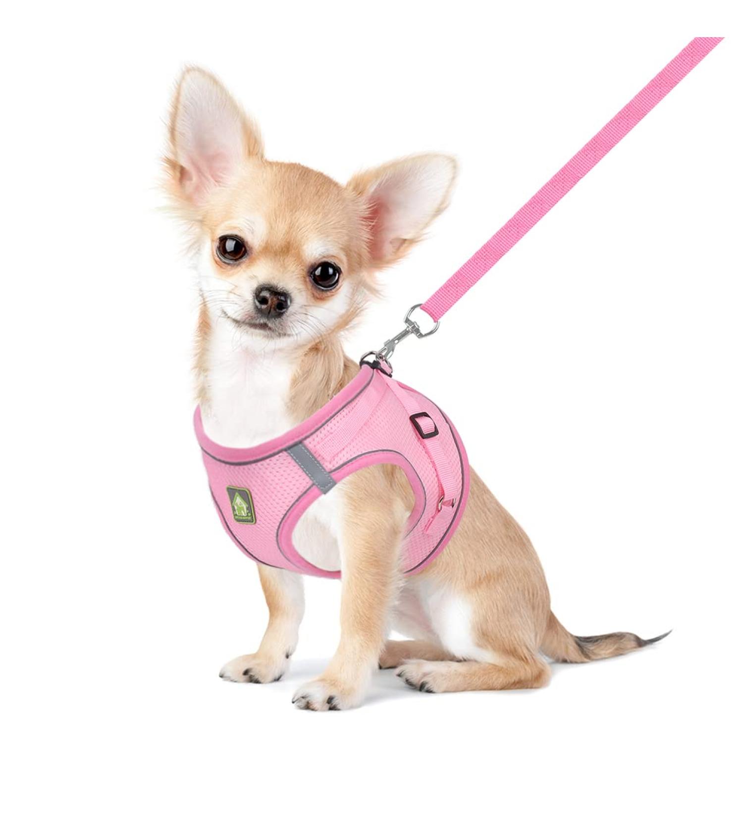 Femax Soft Mesh Dog Harness with Leash for Small & Medium Dogs - Adjustable Reflective No-Pull Vest for Puppies Chihuahuas & Cats - Breathable Pink XS (Chest 26-29cm) - Buy Online on GoSupps.com