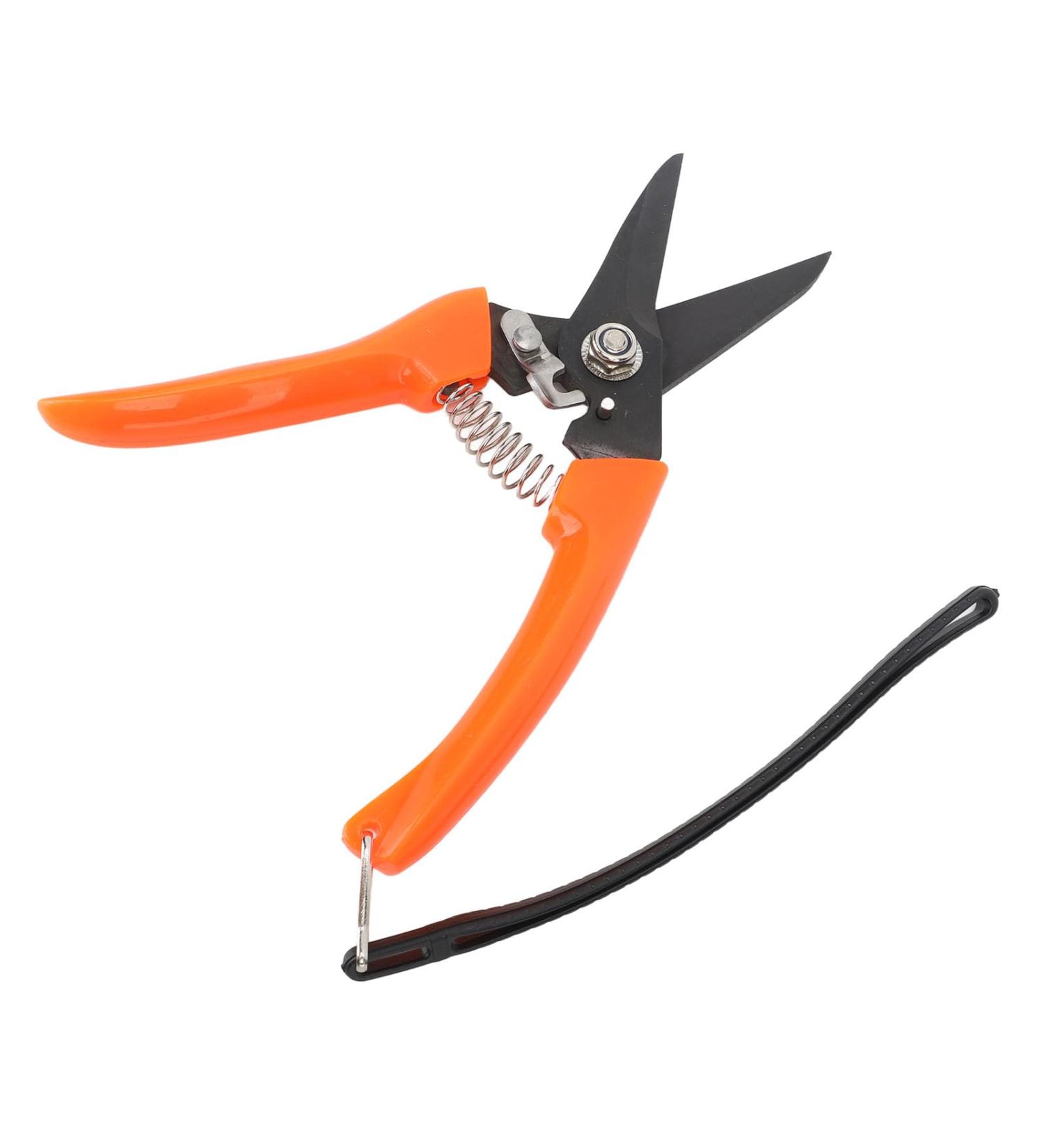 Buy High Carbon Stainless Steel Hoof Shears for Goats | Safe & Durable - International Shipping - Buy Online on GoSupps.com