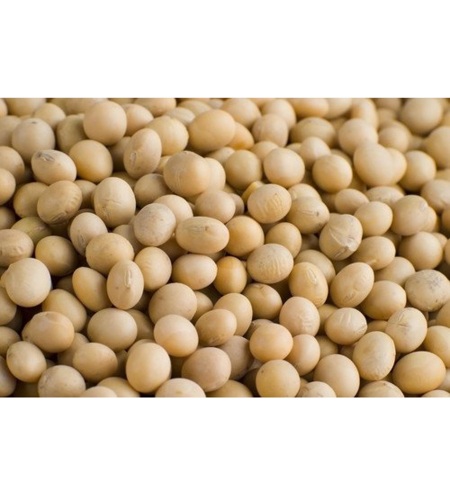 Balsara's 250g Soy Beans Soy Beans Fat Free Soy Beans Soy Protien