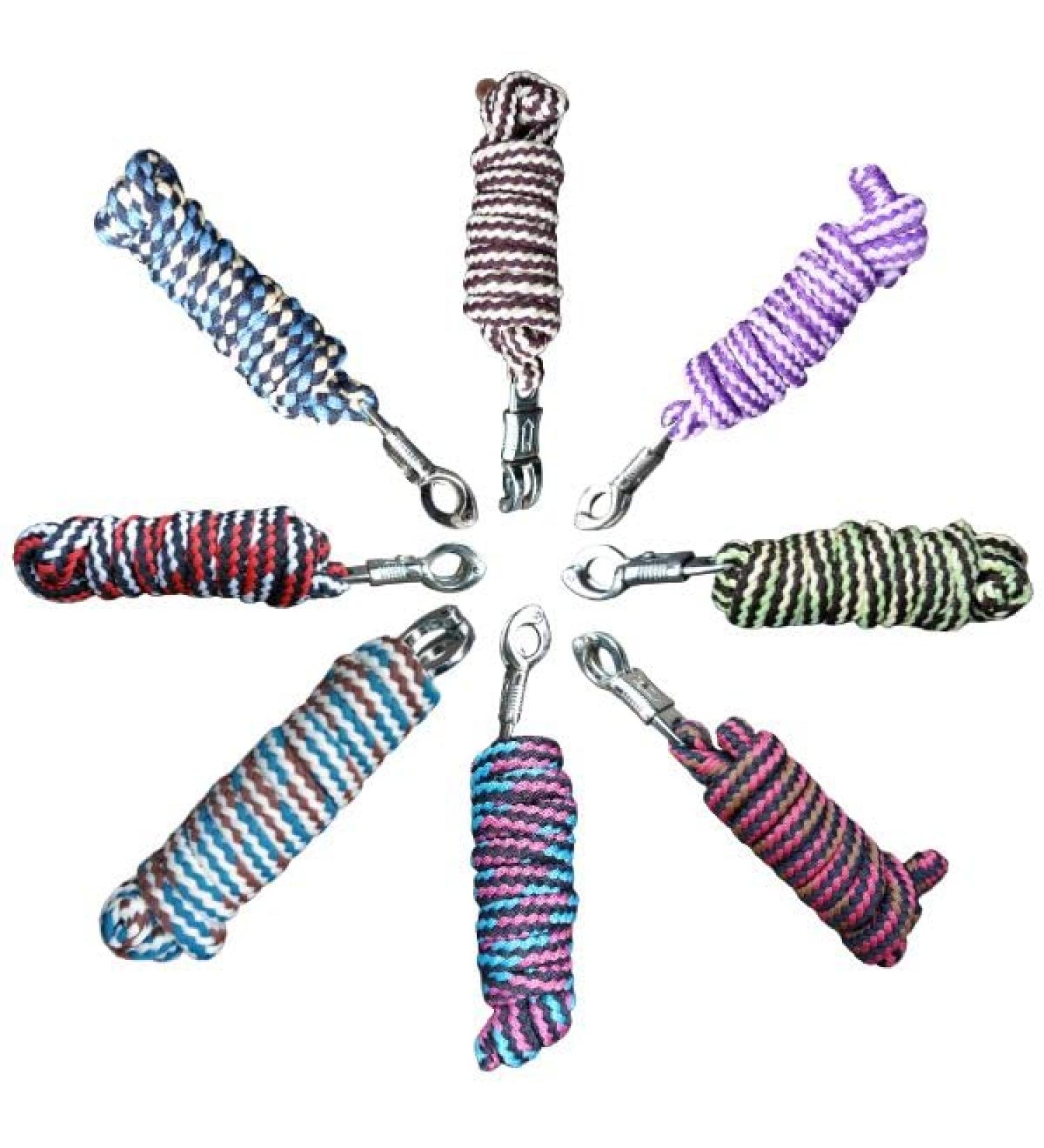 Brama West Surprise Box Guide - 10 Colorful Connection Tricks for Horses Ponies & Shetlands - 2m Length Panic Hooks - Buy Online on GoSupps.com