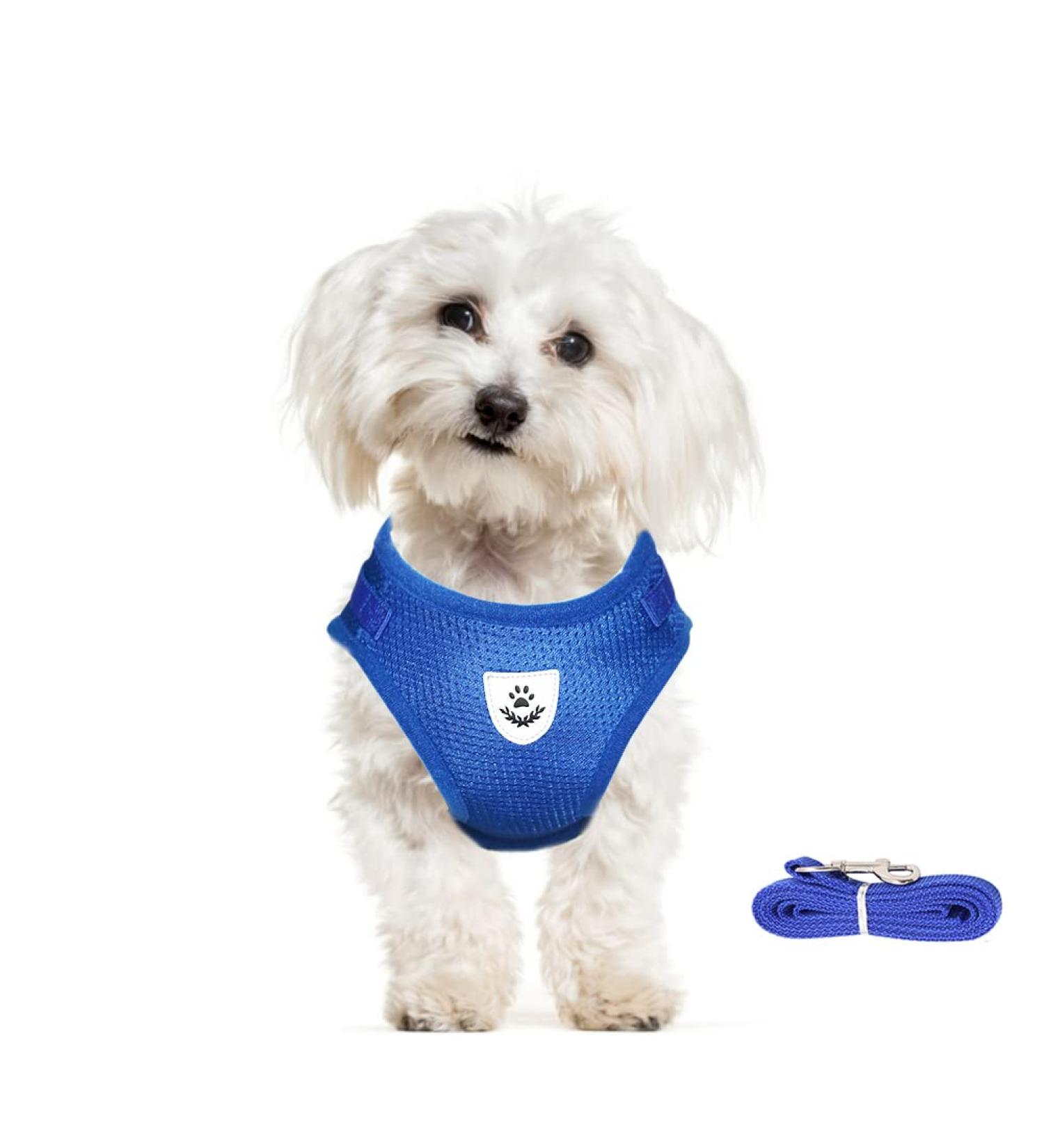 Meioro Adjustable Dog Harness with Leash - Soft Padded Black Vest for Small & Medium Dogs | Reflective + Comfortable | Sizes & Colors Available - Buy Online on GoSupps.com