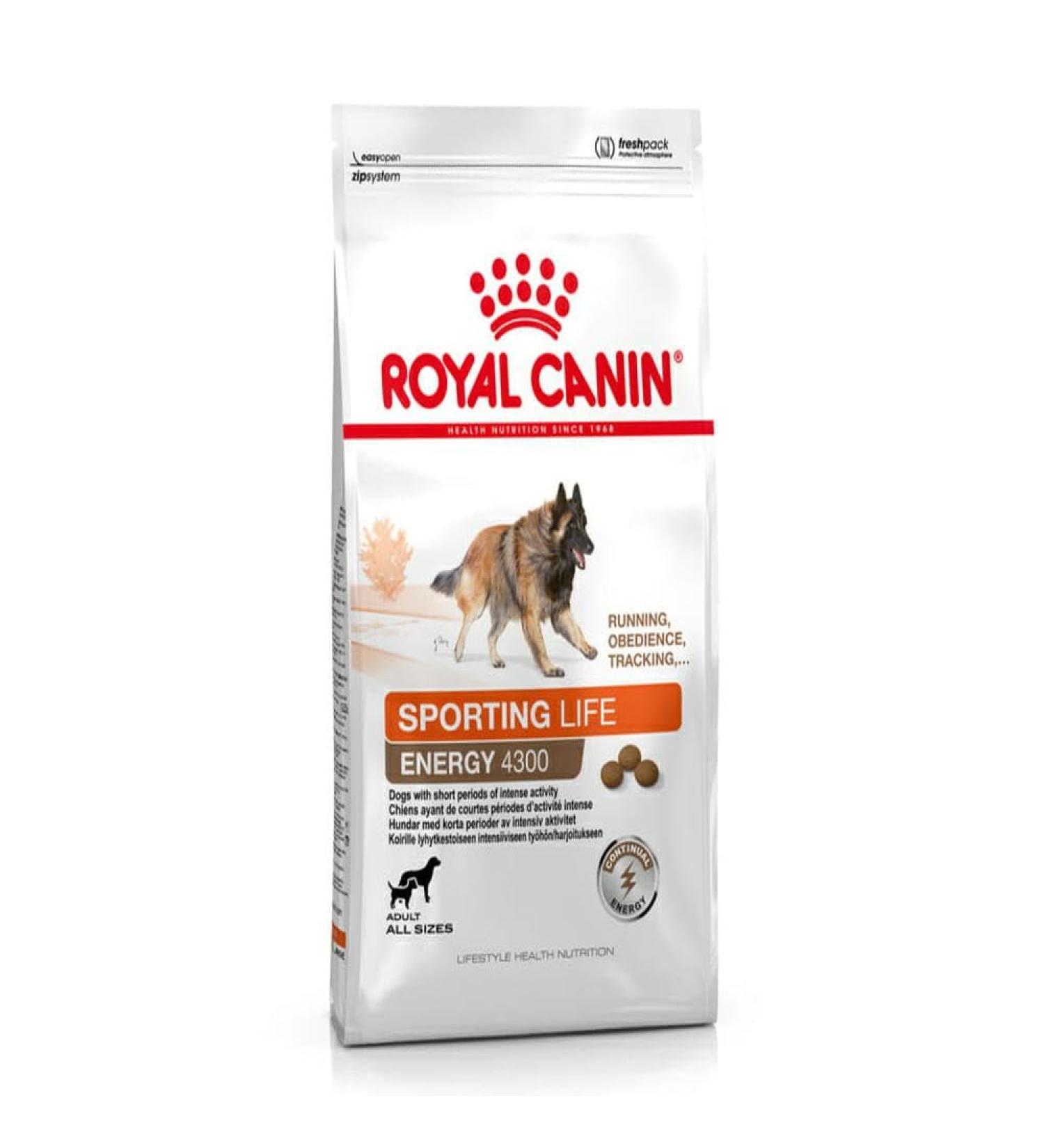 Royal Canin Sport Trail 4300 Dog Food 15 kg - Buy Online on GoSupps.com