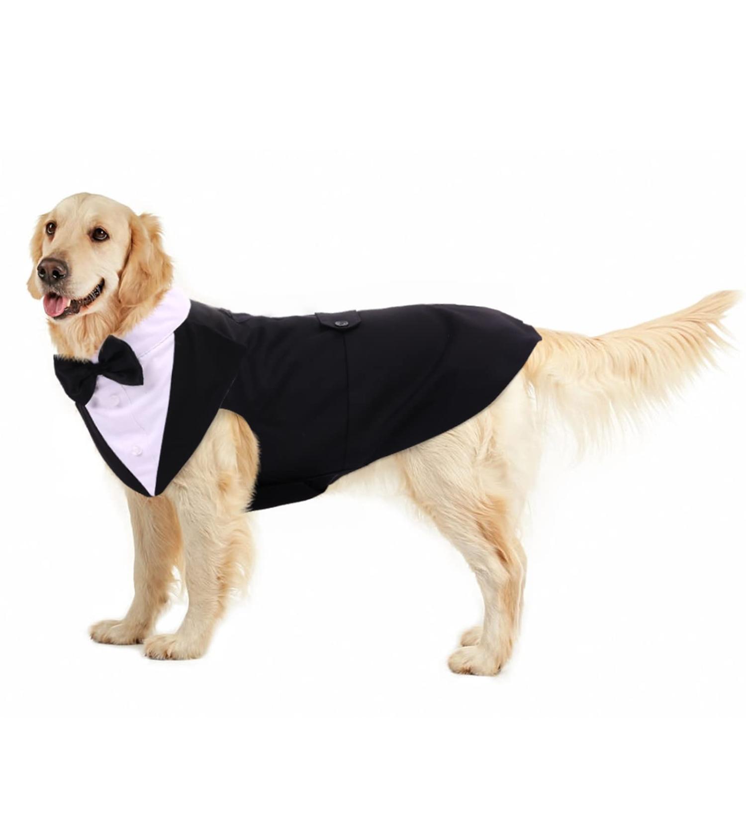 XXL Black Dog Costume - Christmas & Halloween Tuxedo Outfit for Small & Big Dogs | 1 Pack - Buy Online on GoSupps.com