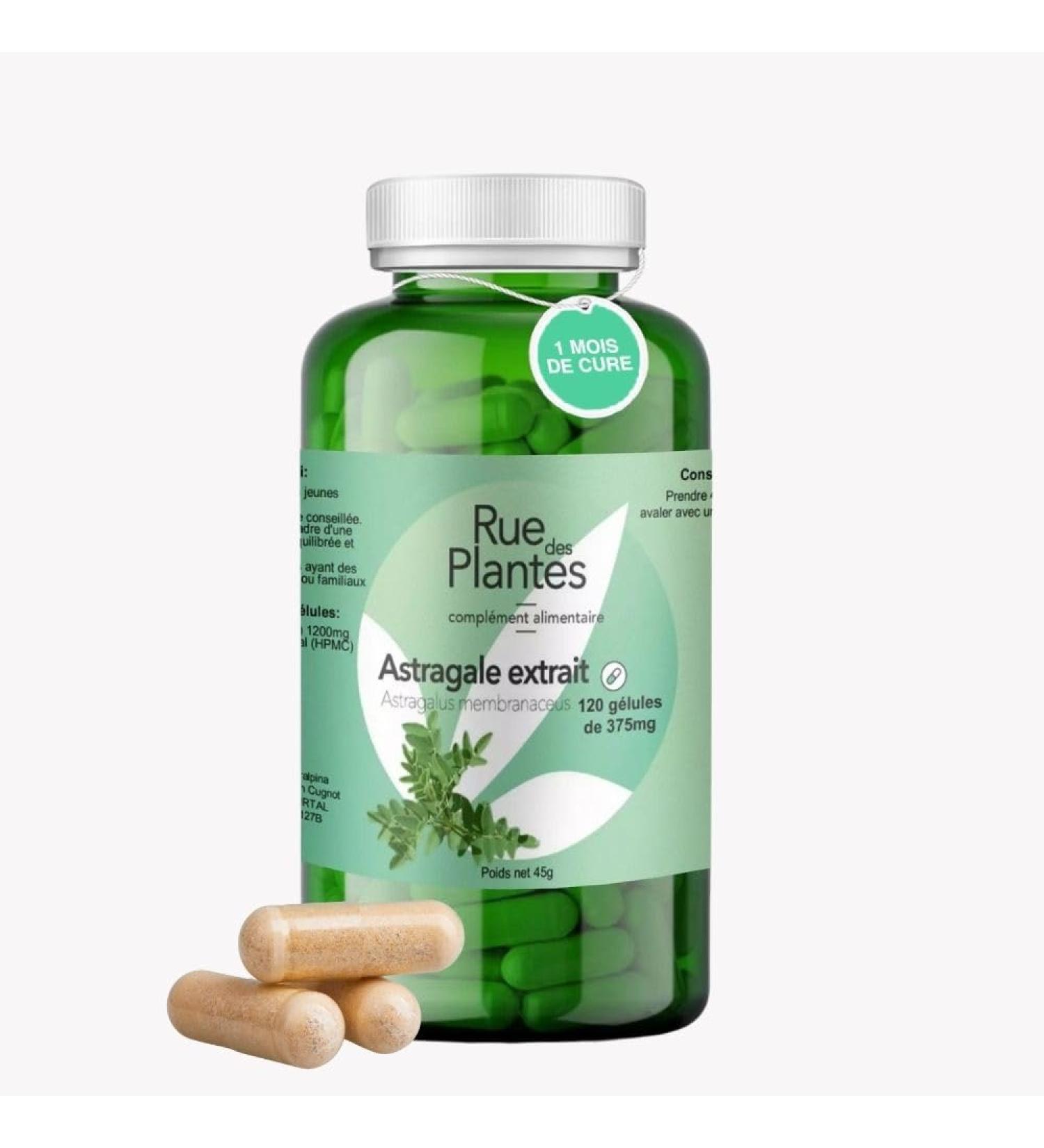 Astragalus Extract 120 Capsules - Food Supplement to Support Immunity and Improve Vitality - 1 Month Cure - Made in France - Buy Online on GoSupps.com