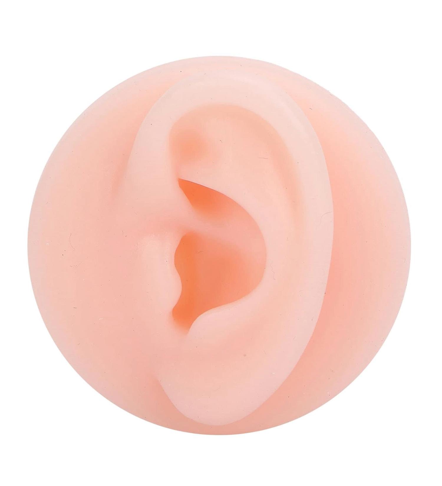 Soft Silicone Fake Ear Model for Acupuncture Training | Professional Quality Left Ear Display - Buy Internationally - Buy Online on GoSupps.com
