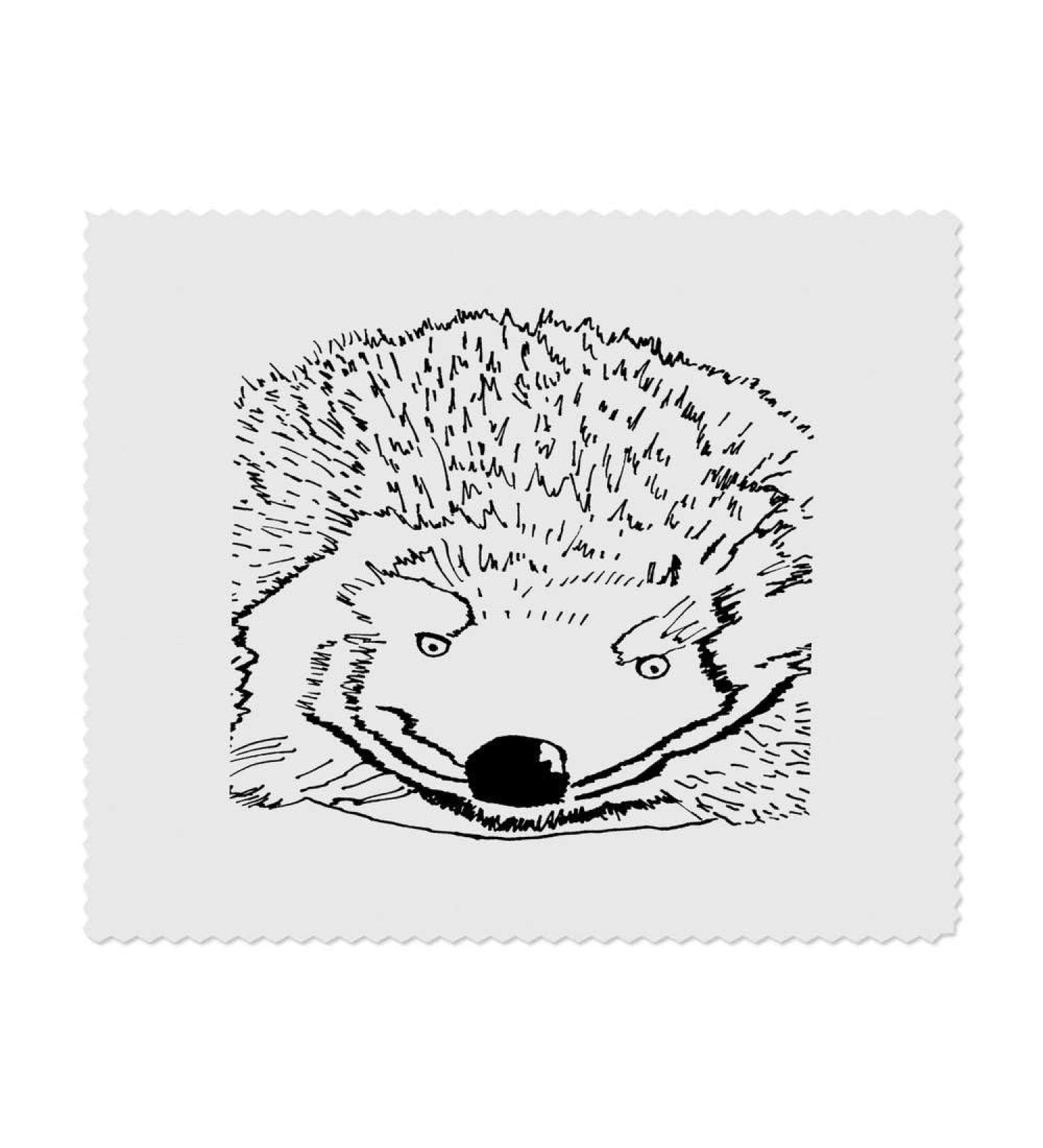 Buy 2 x Hedgehog Microfiber Cleaning Cloths - Ultra Absorbent & Durable | International Shipping Available - Buy Online on GoSupps.com