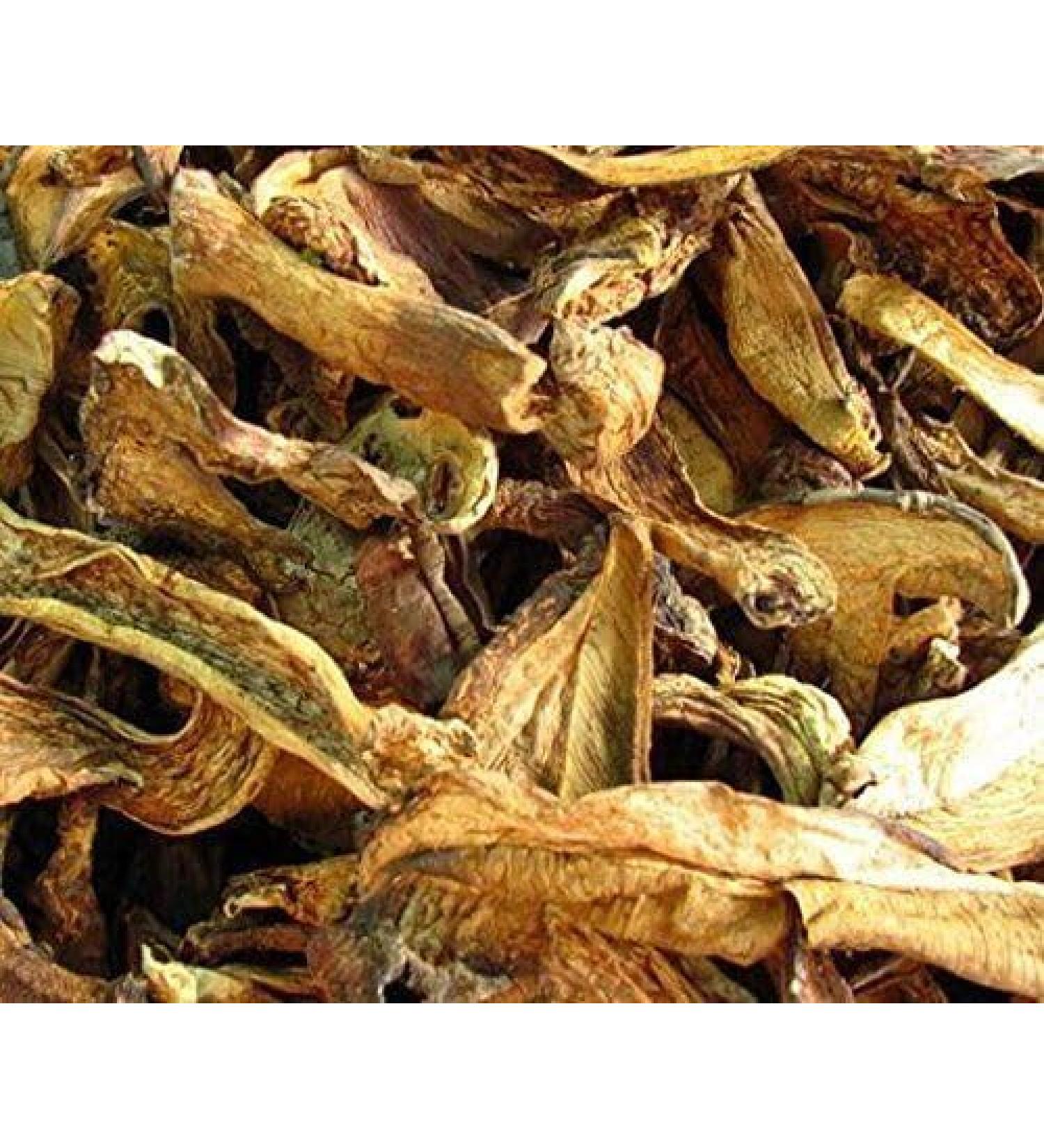 WENXUANSU:3 Pound (1362 grams) Boletus luteus mushroom dried Grade A yellow porcini - Buy Online on GoSupps.com