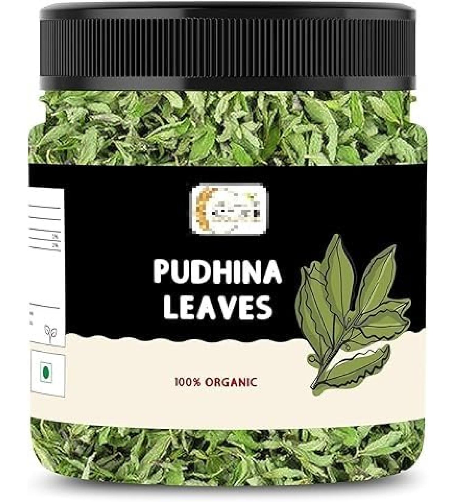 REQ Mint Leaves Sukha Pudina Patti pudhina leaves (Jar Pack) (50 Grams)