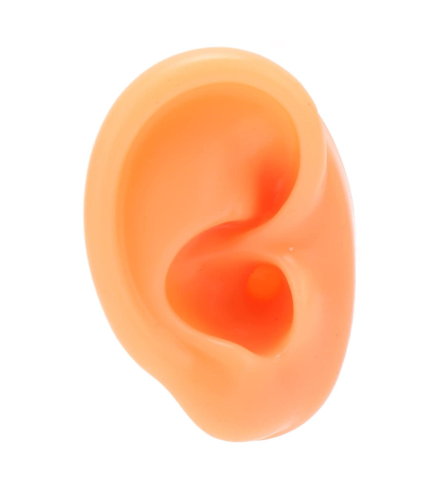 Silicone Ear Model for Ear Piercing Training | Acupuncture Soft Simulated Ear Model (Right) - International Shipping Available - Buy Online on GoSupps.com