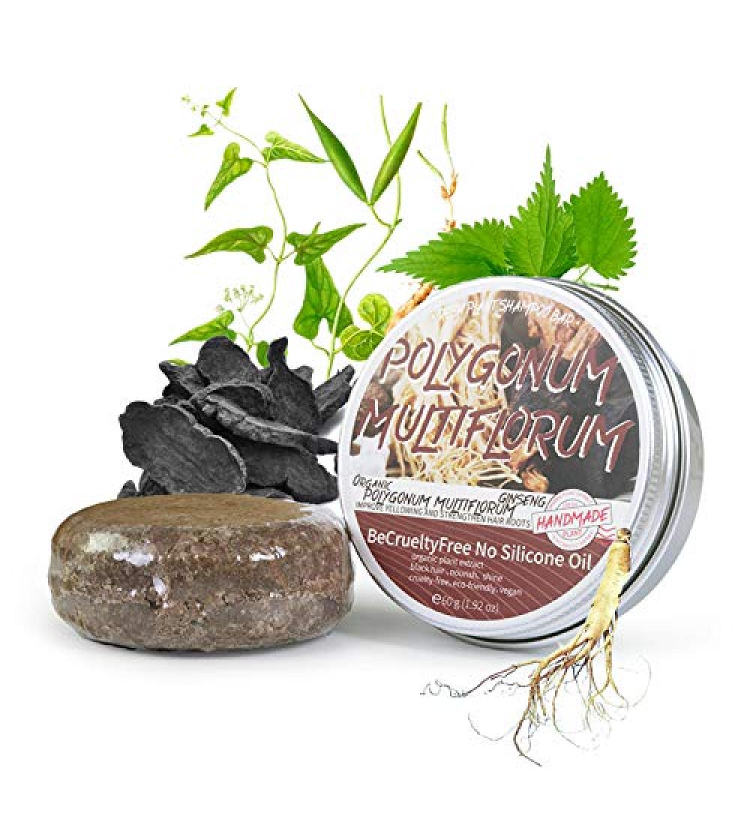 Polygonum Multiflorum 2pcs Hair Darkening Shampoo Bar | Hair Regrowth & Loss Treatment | Solid Shampoo Bar for Men & Women - Buy Online on GoSupps.com