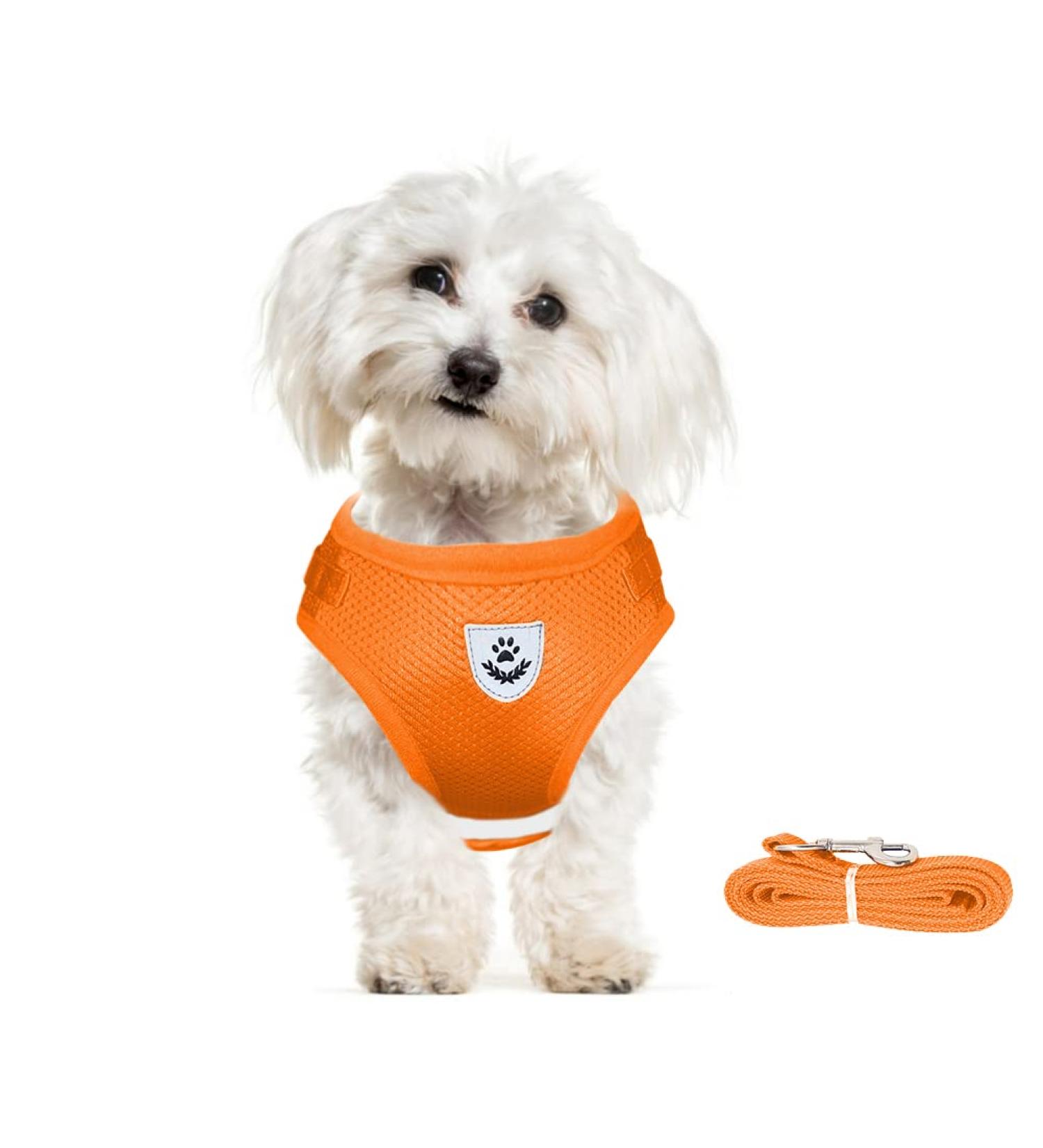 Meioro Dog Harness with Leash - Softly Padded Adjustable Vest for Small & Medium Dogs - Reflective Black & Orange for Puppies - XS Size (26-29cm) - Buy Online on GoSupps.com