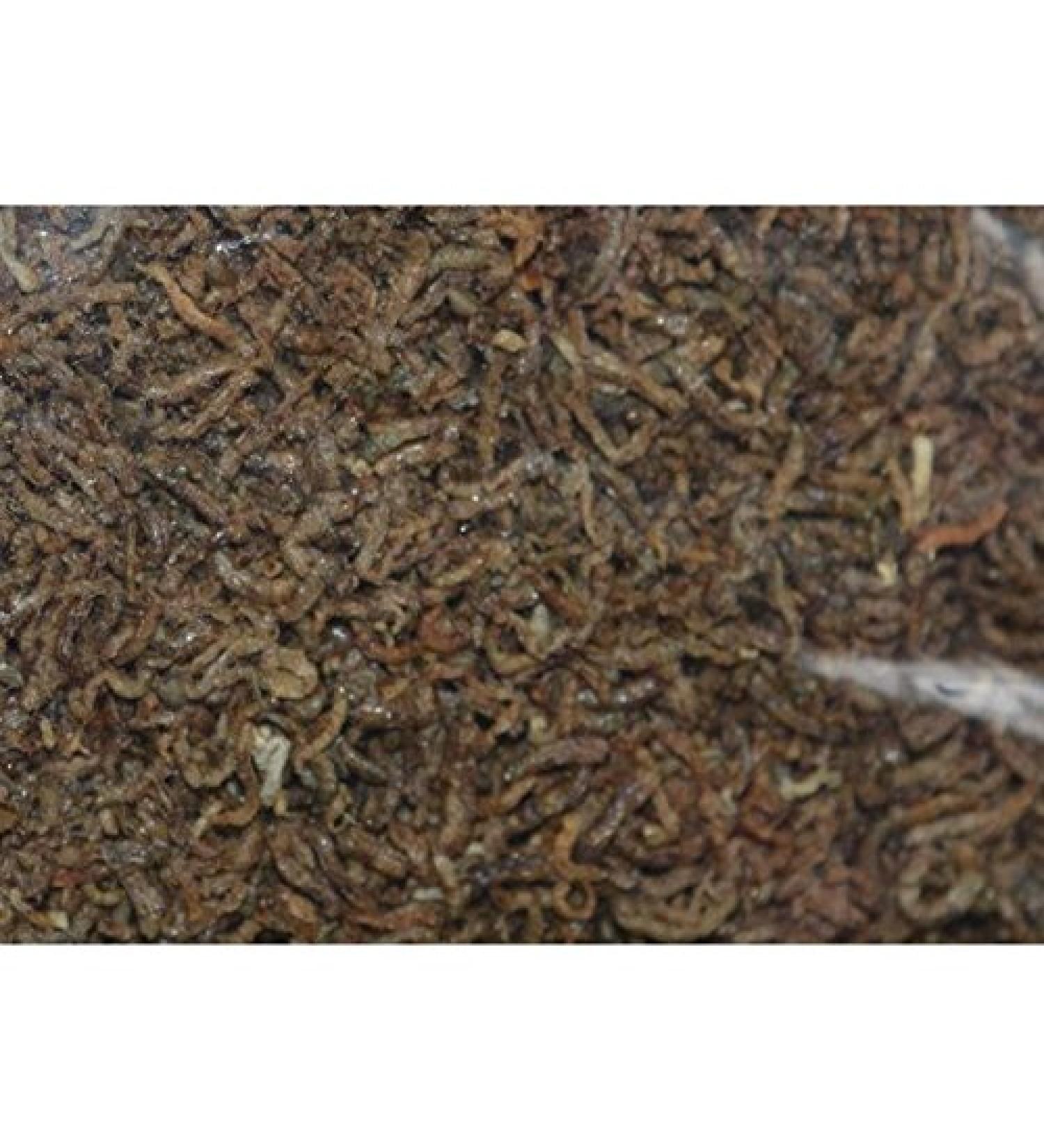 Red mosquito larvae, gefriergetrocknet, treats for ornamental fish 500 ml