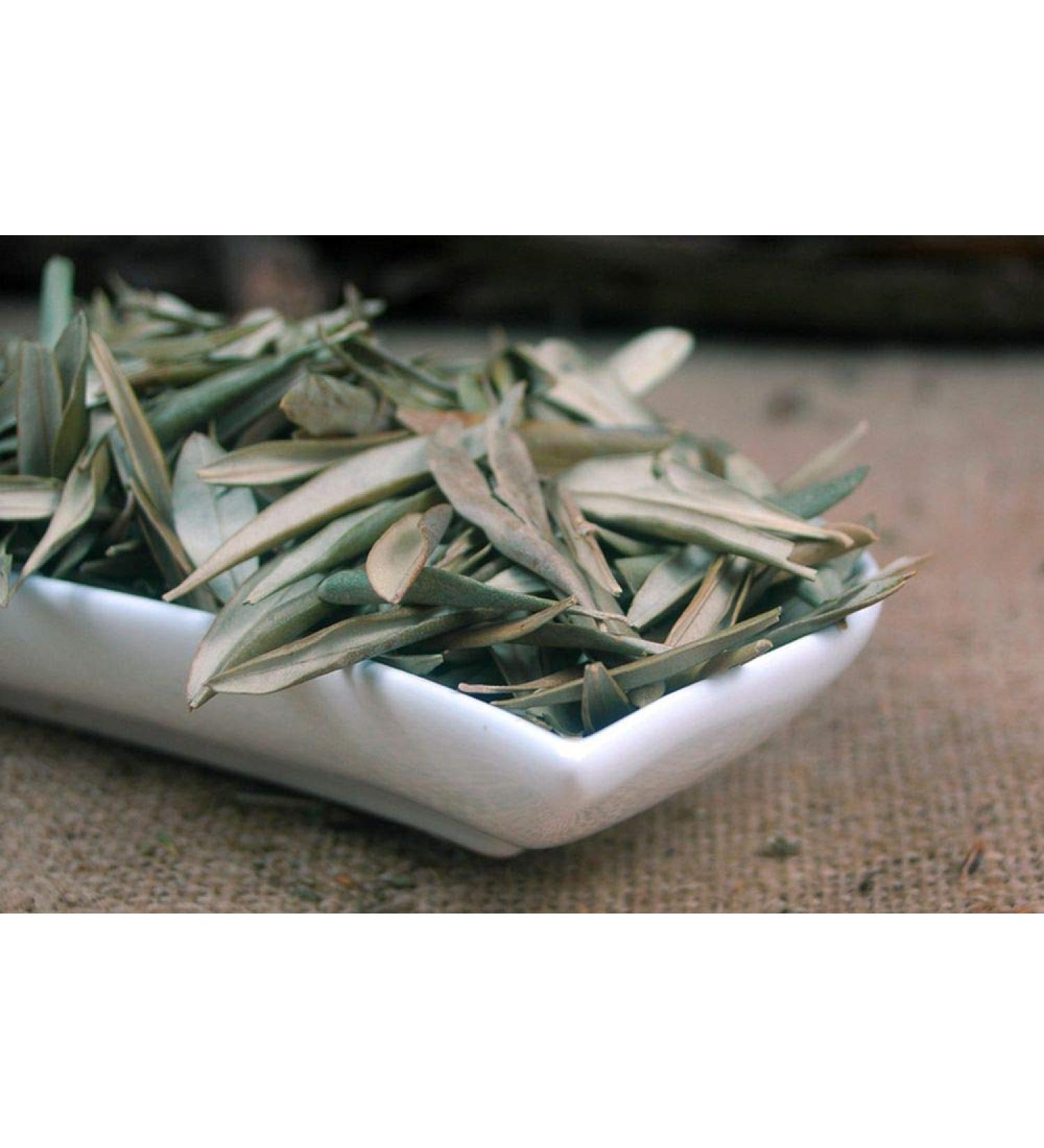 Krauterino24 Krauterino24 - Complete olive leaves quantity: 100g