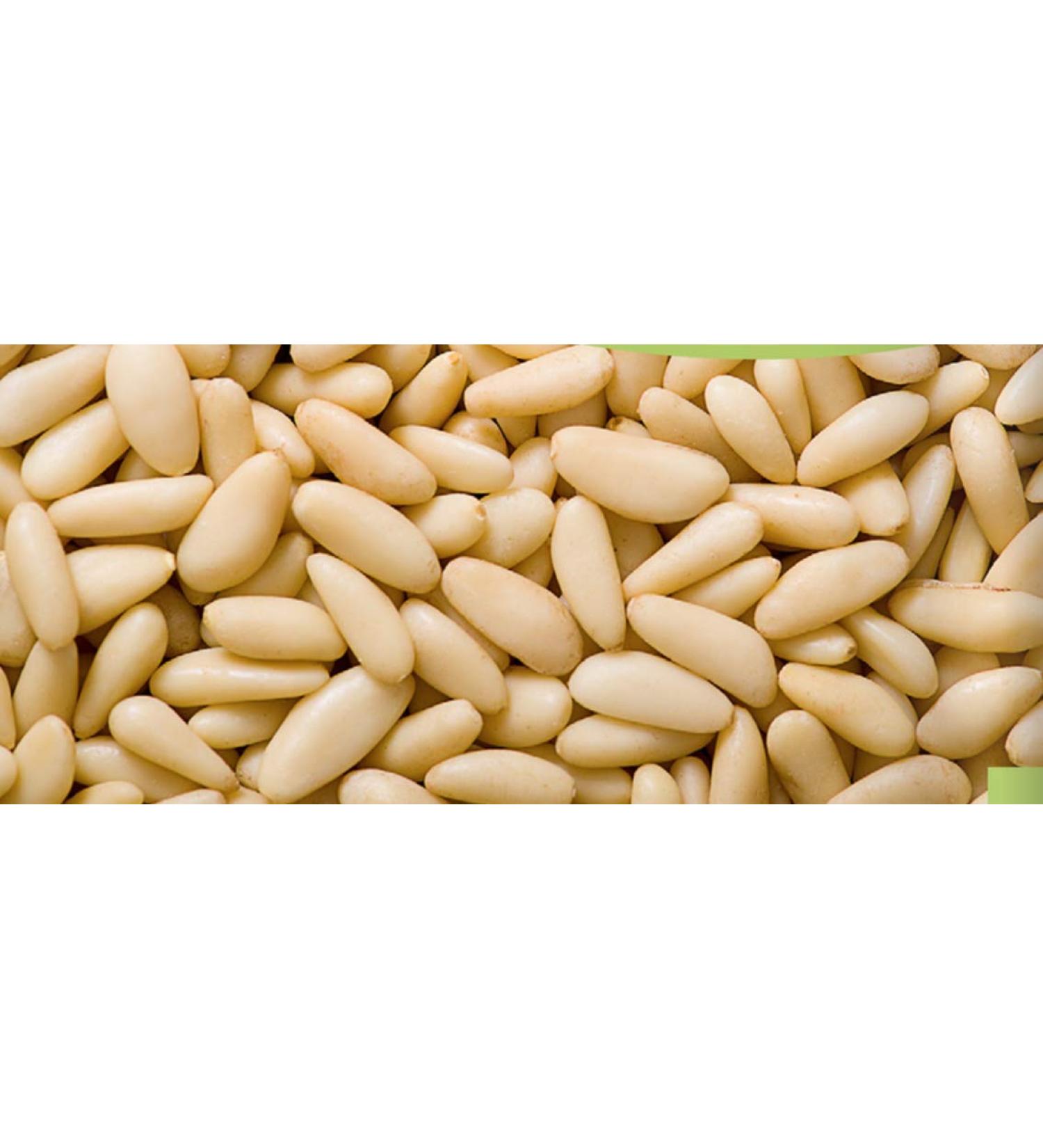 Buy Superior Andalusian Pine Nuts - 500g | Premium Quality International Shipping - Buy Online on GoSupps.com