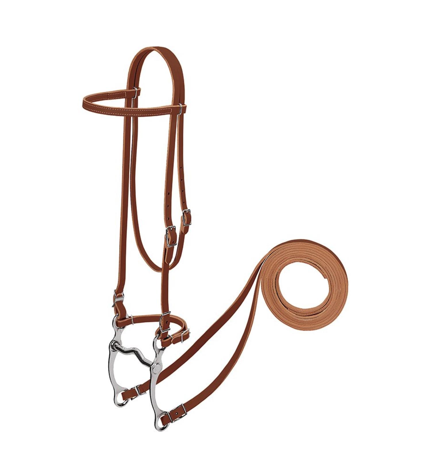 Weaver Harness Leather Pony Headstall Set Sunset