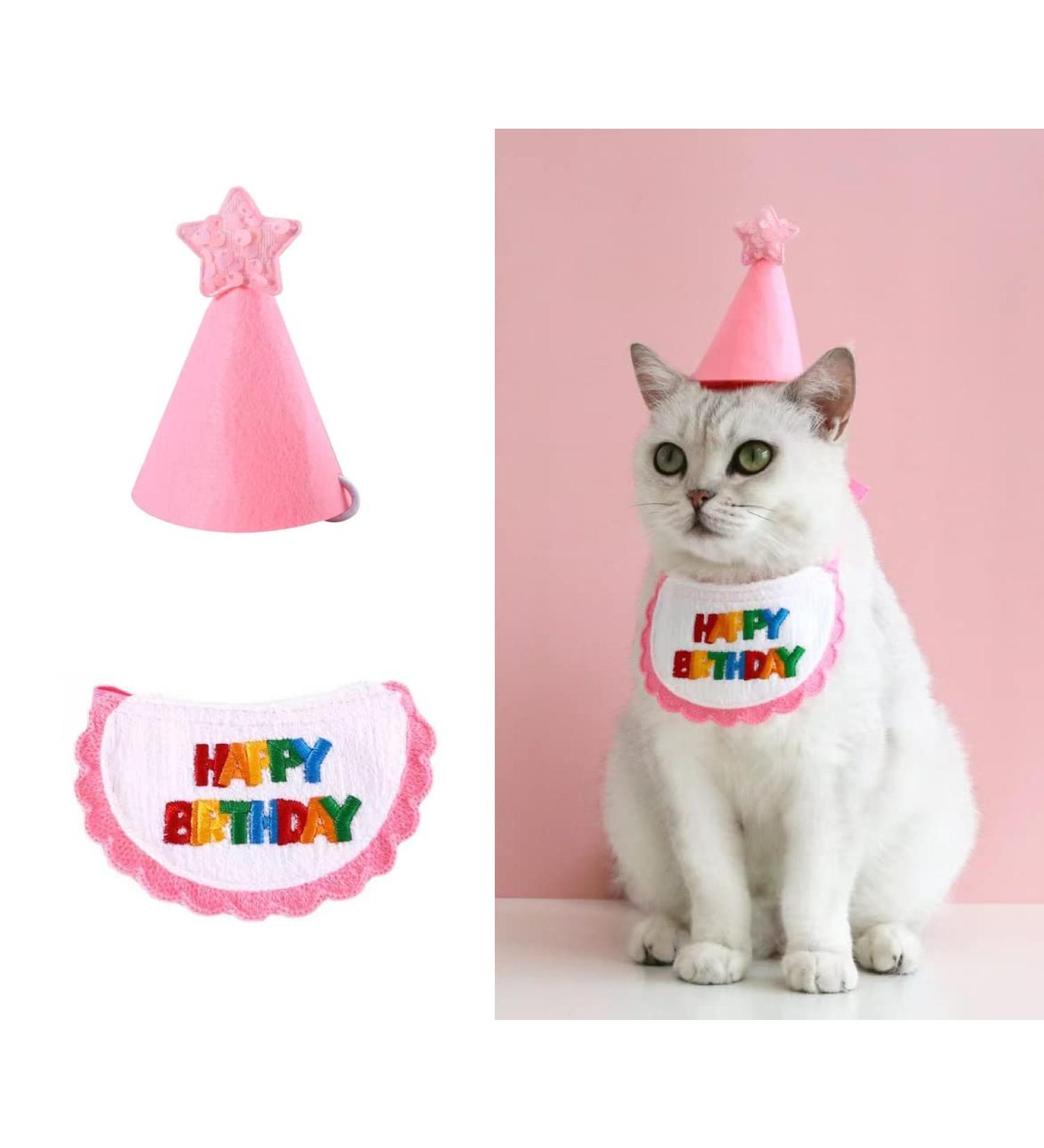 Happy Birthday Bandana & Party Hat for Cats & Dogs | Cute Pet Birthday Outfits & Accessories - Buy Online on GoSupps.com