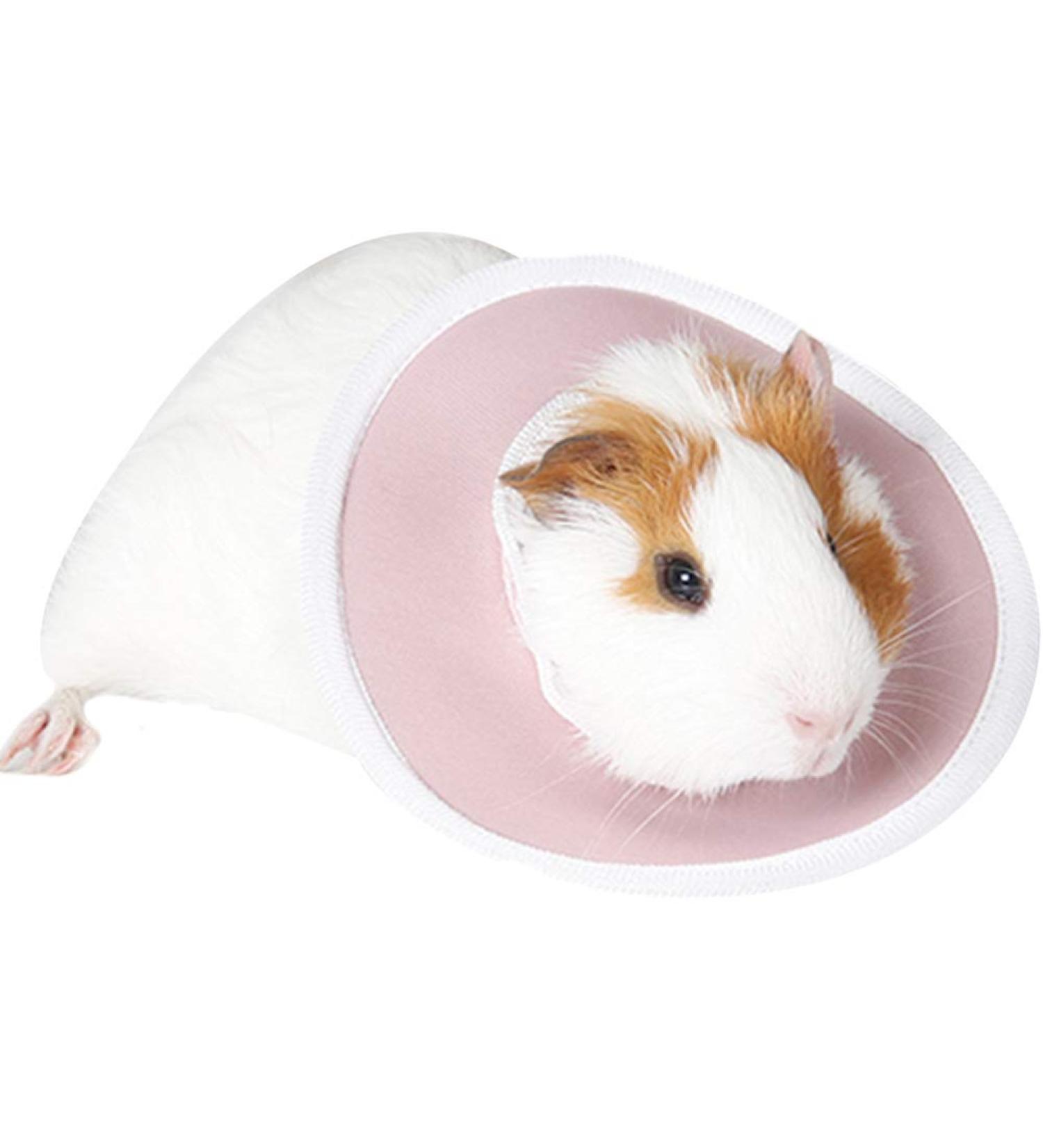 Smart Protective Sugar Shaker Collar for Small Animals - Wound Healing & Safety | Small Diameter S-9.5cm - Perfect for Squirrels Guinea Pigs Rats Mice Hamsters & Rabbits - Buy Online on GoSupps.com