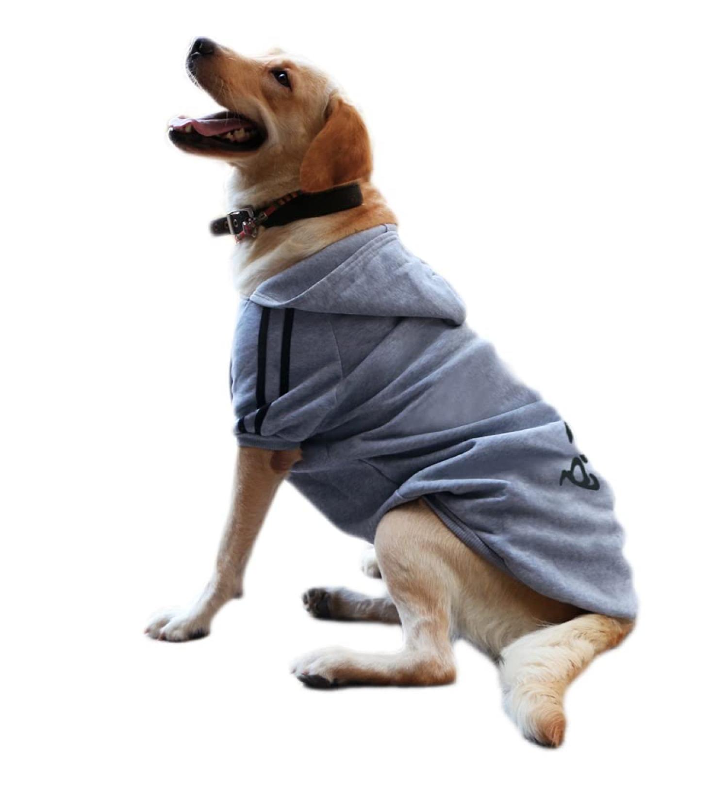 Eastlion 8XL Dog Warm Hoodie Coat - Gray Sweater for Large Pets | Comfortable & Stylish Puppy T-Shirt - Buy Online on GoSupps.com