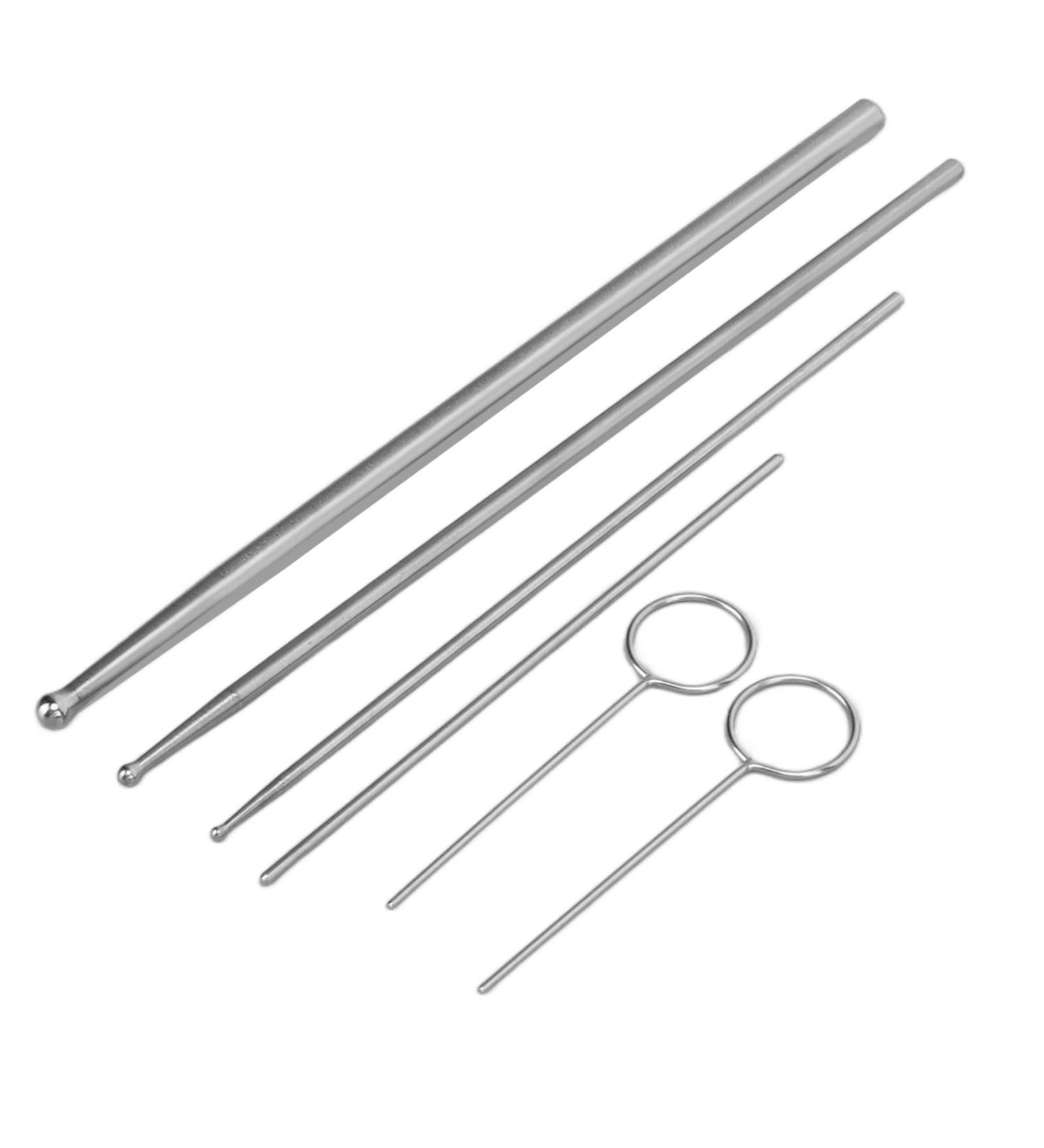 Snake Probes 6 Piece Professional Probe Set Stainless Steel Round Head Anti Allergy Reptiles Snake Sexing Probe Snake Probe Kit for Veterinary - Buy Online on GoSupps.com
