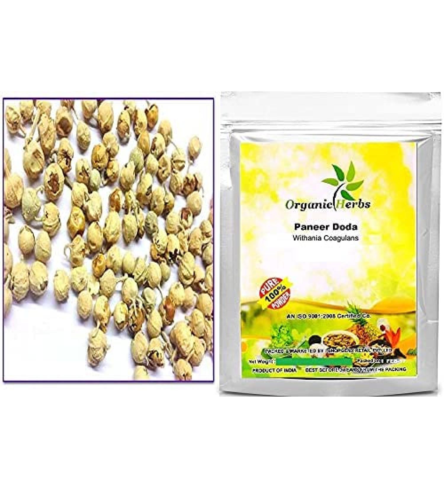 Green Velly Indian Organic Herbs Ayurveda Paneer Phool | Paneer Doda/DODI | Withania Coagulans Good for Health (1Kg) - Buy Online on GoSupps.com