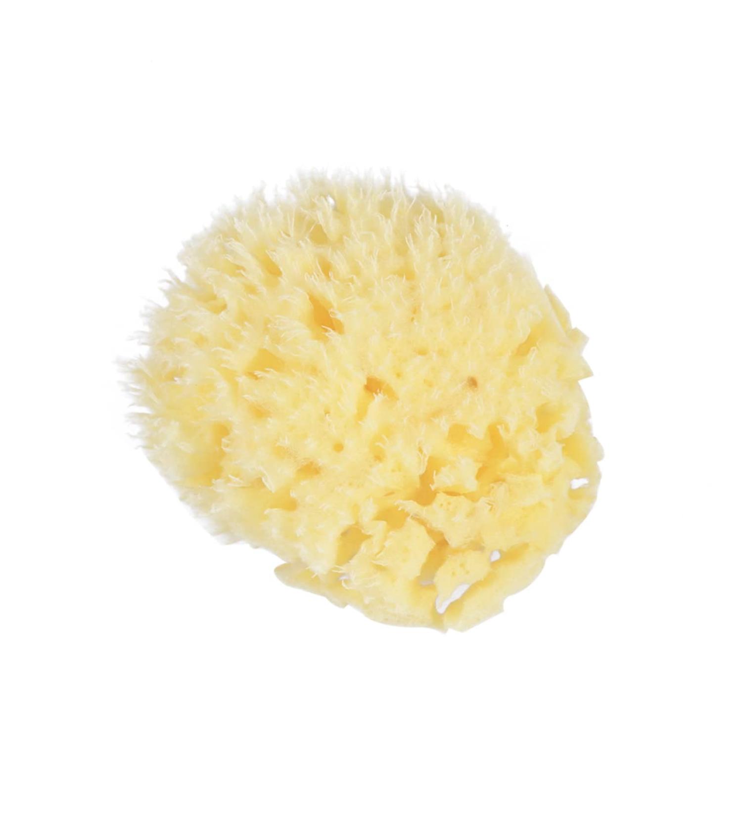 Beavorty Disposable Face Sponges - Natural Honeycomb Sponge for Body, Shower, and Washing Machine Care - Buy Online on GoSupps.com