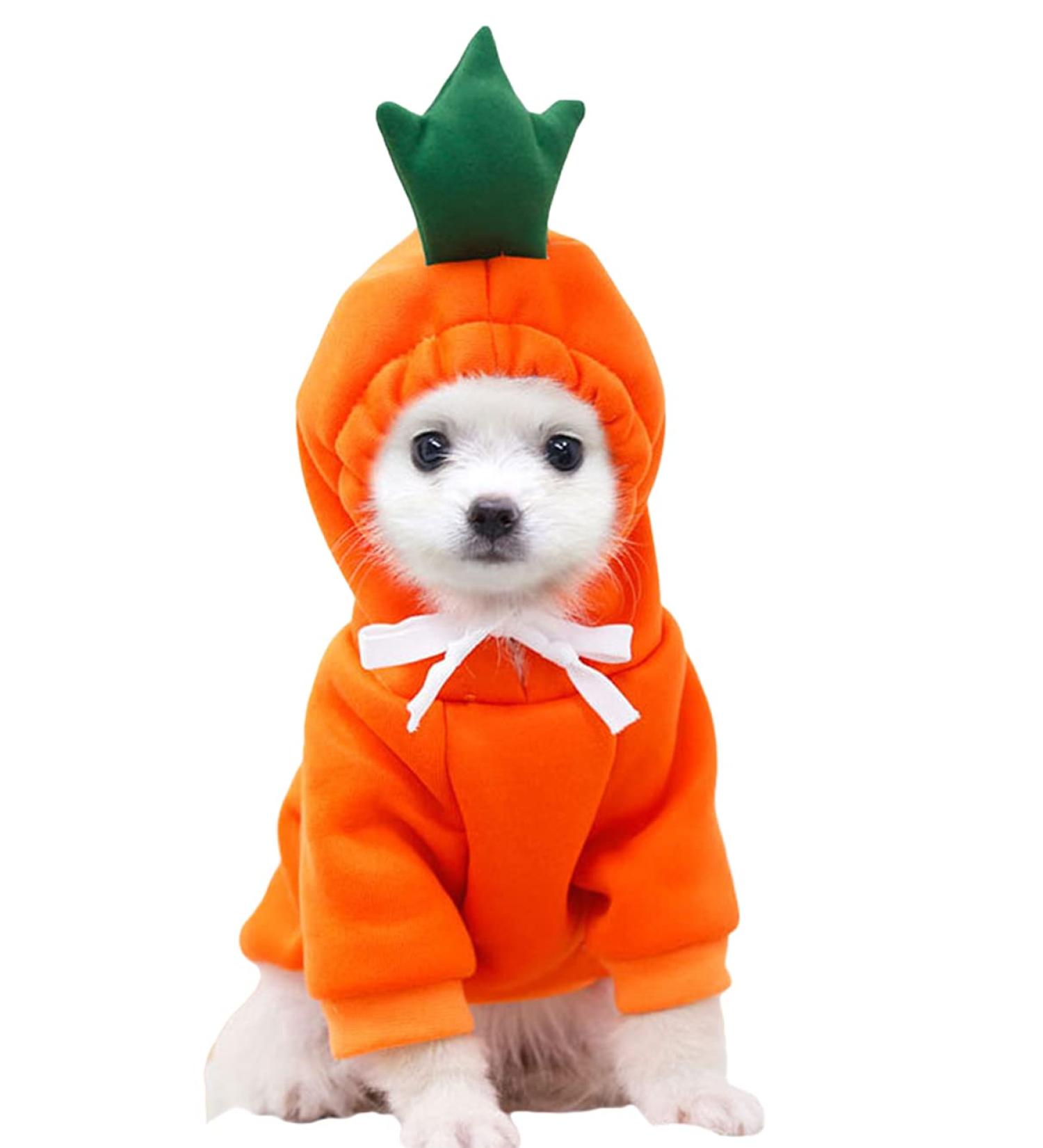 Xiaoyu Dog Hoodies - Warm Sweatshirt Coat for Puppies | Autumn Winter Pet Clothing with Fruit Hood & Carrot Design - Buy Online on GoSupps.com