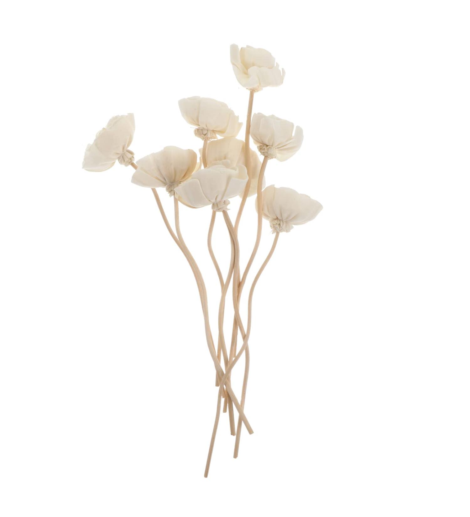 8Pcs Reed Diffuser Sticks | Rattan Flower Diffuser for Home Fragrance & Decoration - International Shipping Available - Buy Online on GoSupps.com