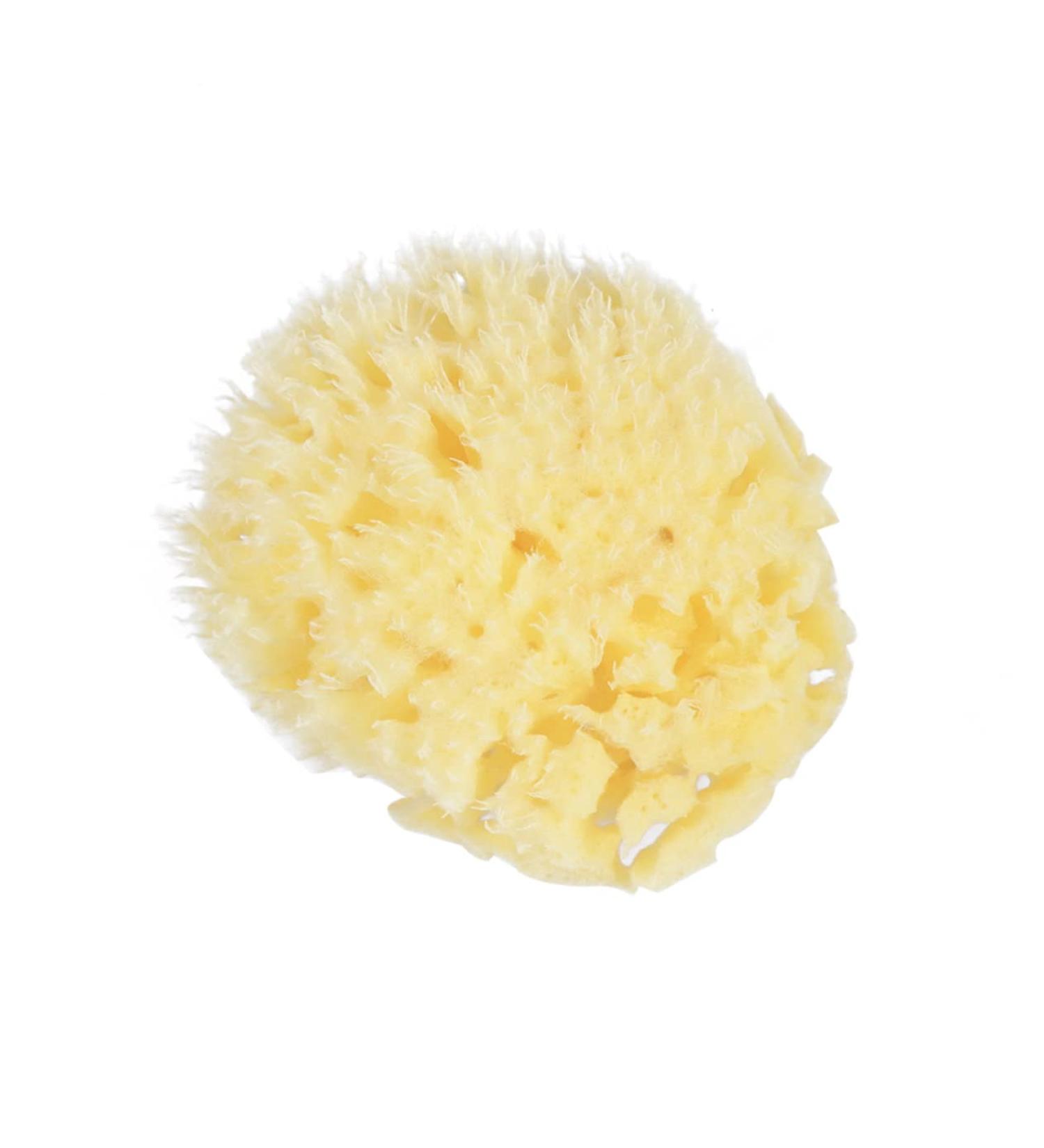 FOMIYES Bath Scrubber Face & Body Sponge - Natural Baby Bath Sponge - Disposable Shower Sponge - Buy Online on GoSupps.com