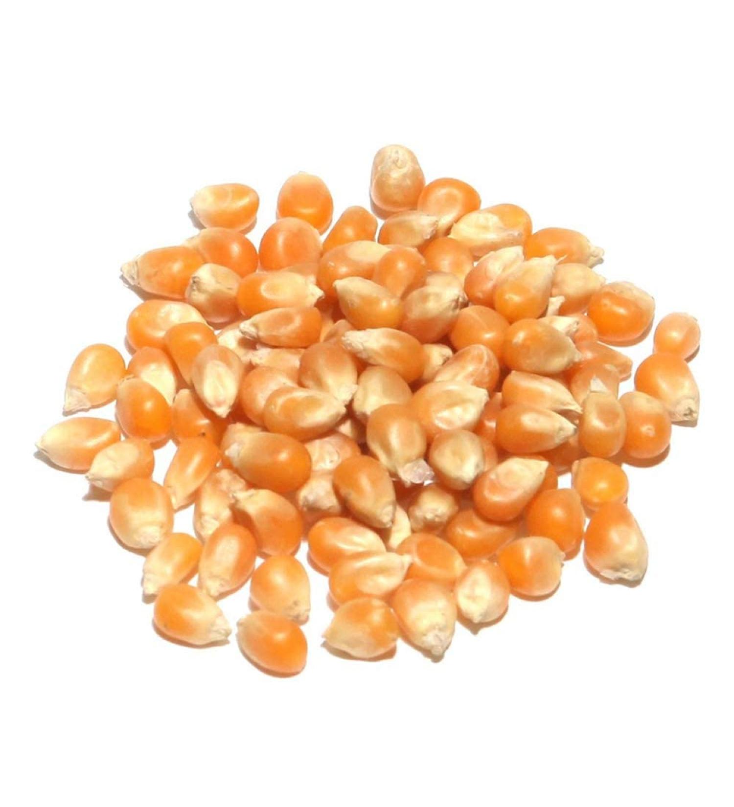 A Kilo of Spices: Popcorn Seeds - Premium quality (1kg) 1 kg (Pack of 1)