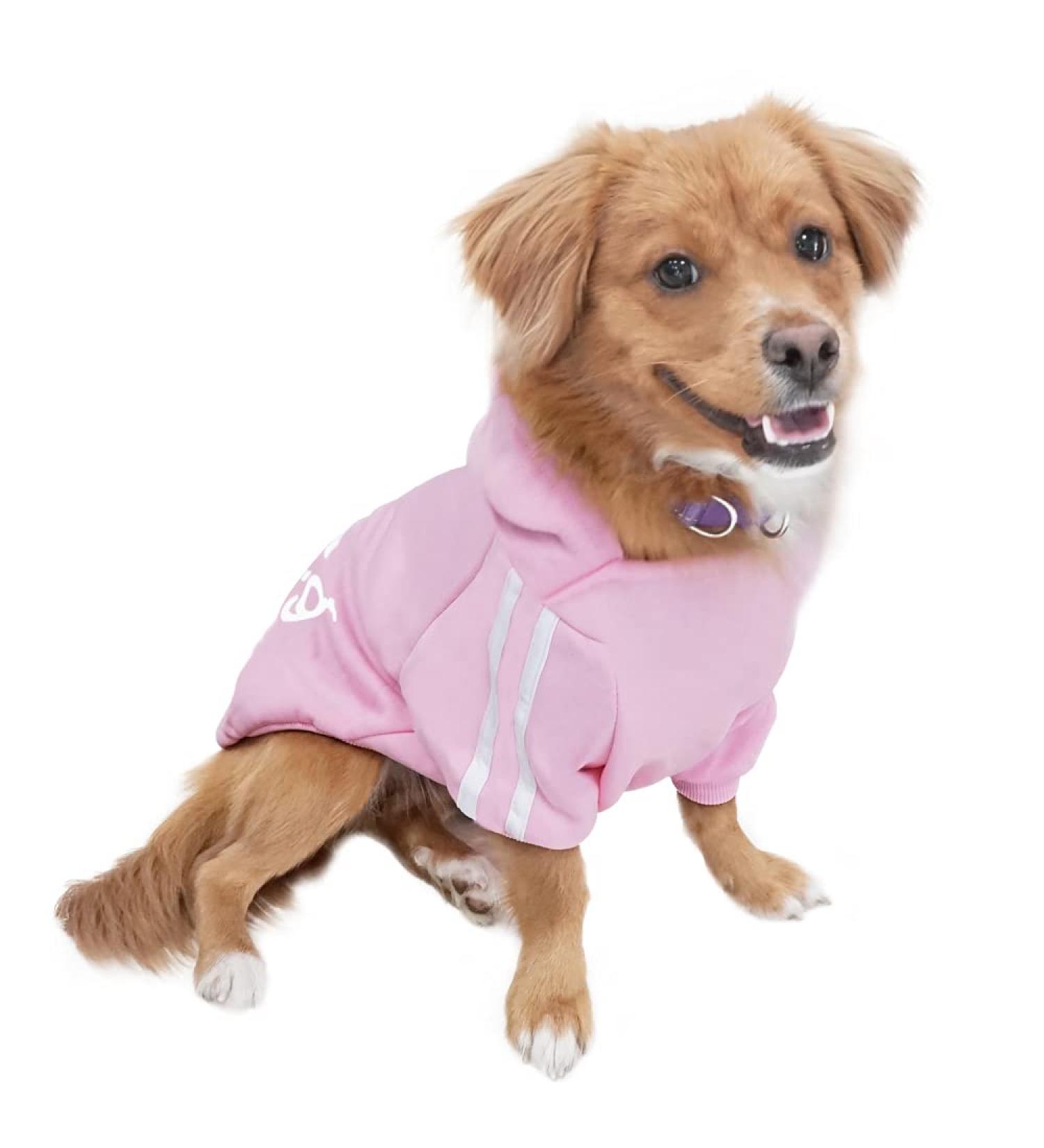 Eastlion Dog Sweater | Warm Pink Pullover Coat for Pets | Puppy T-Shirt Apparel - Size LL - Buy Online on GoSupps.com