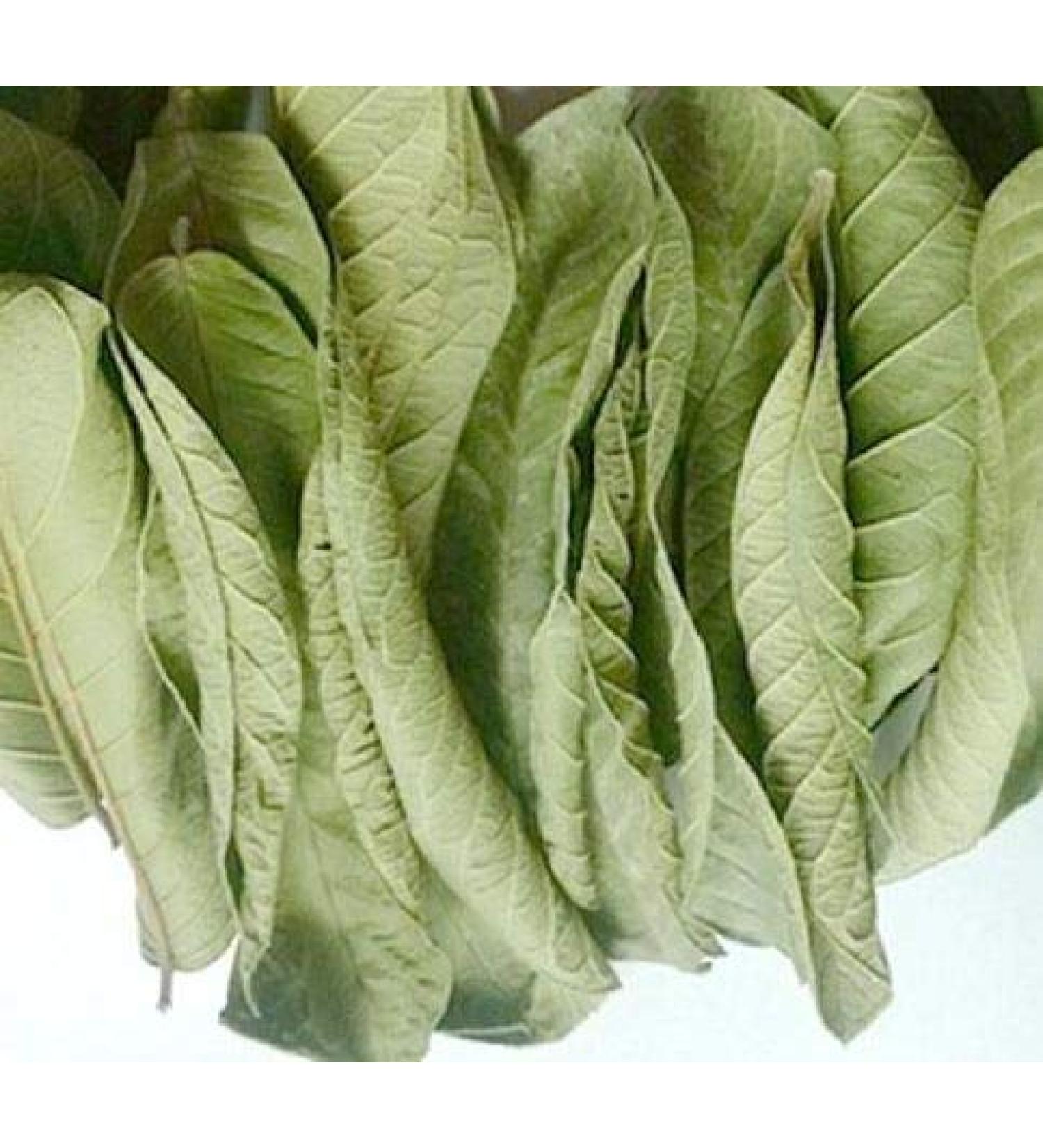Dry Mango Leaves 250g (Pack of 02)