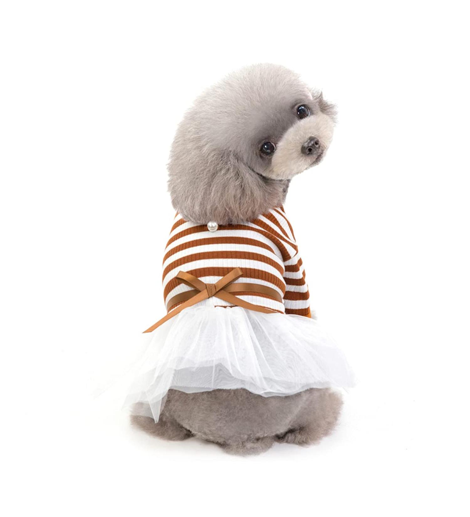 Buy Barrageon Dogs Kneid Sweet Princess Rock Clothing for Cats & Puppies | Bowknot Pet Summer Apparel for Small & Medium Dogs | Brown Stripes 20 cm Back Length - Buy Online on GoSupps.com