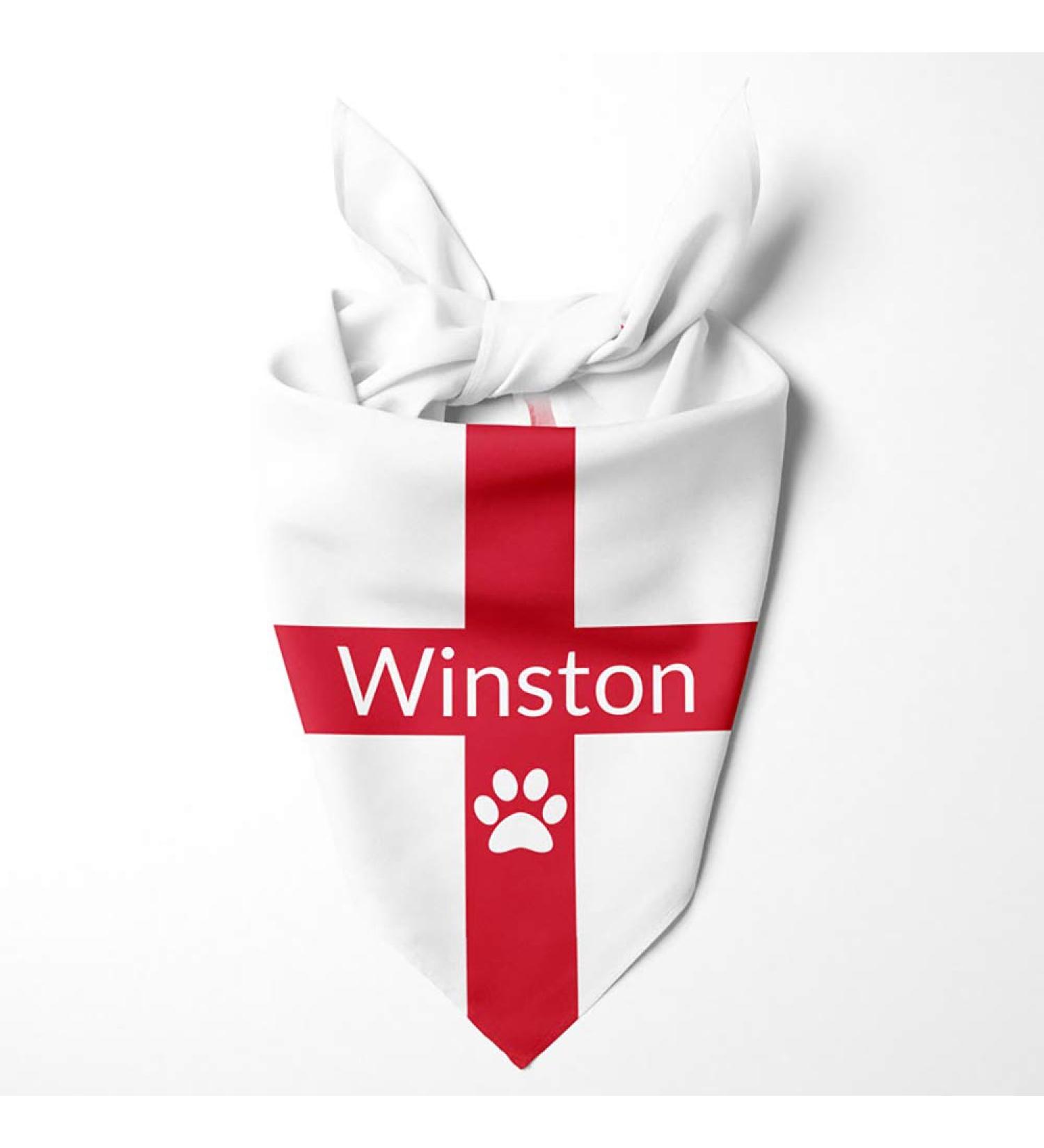 Personalized Dog Hollow Football Collar Cloth - Sports & Olympic Games Motif with English Flag - Buy Online on GoSupps.com