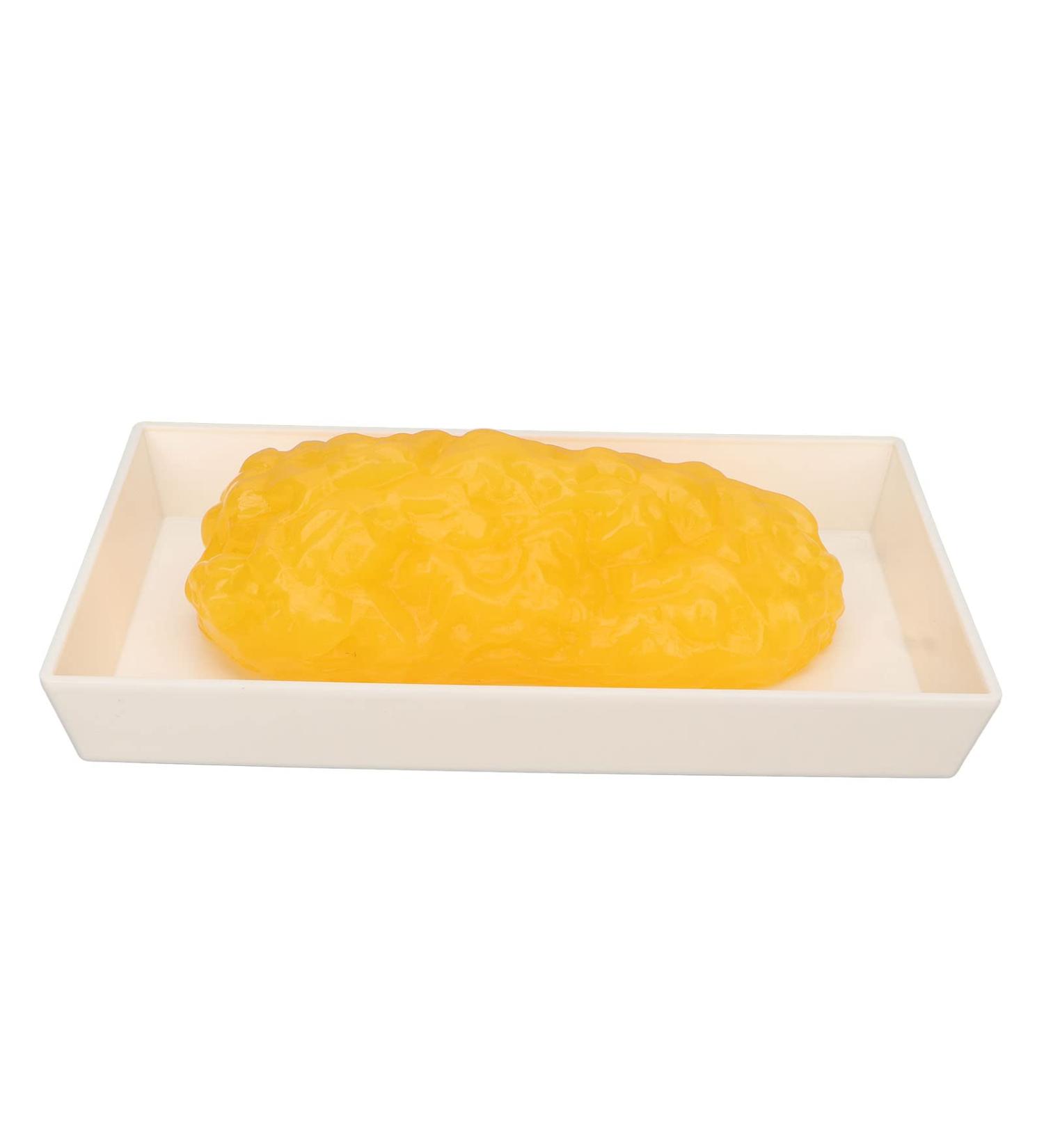 Human Body Fat Replica - 1lb Human Fatty Tissue Demonstration Model for Nutritionist Science Course - Buy Online on GoSupps.com
