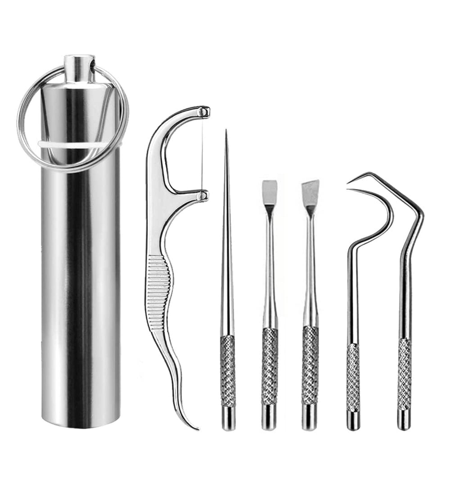 6-Piece Toothpick Tartar Remover Set - Portable Metal Dental Care Kit for Travel Camping & Picnics - Buy Online on GoSupps.com