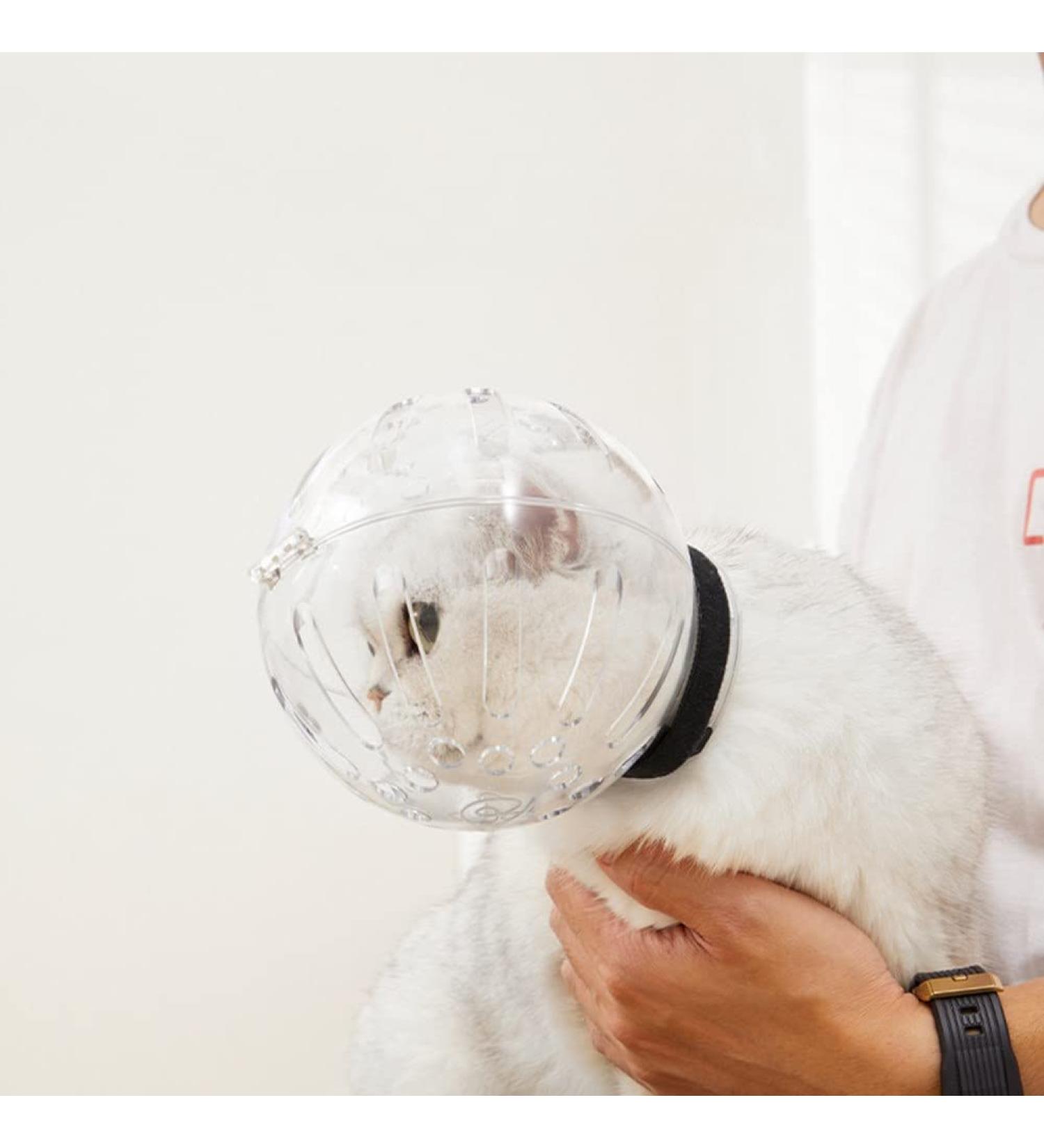 Shop Halskrause Transparent Puppy & Cat Neck Collar - Protective Dog Funnel & Convenient Scratch Prevention | Adjustable & Leak-Proof (M) - Buy Online on GoSupps.com