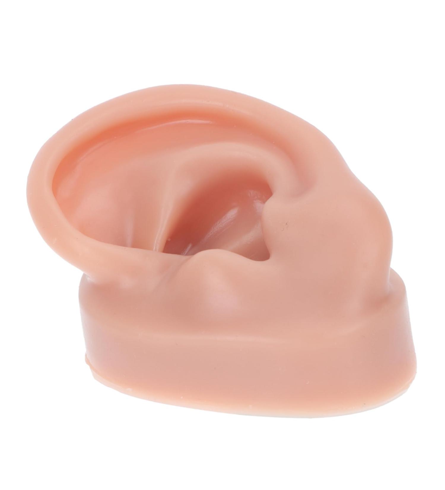 Silicone Human Ear Model for Massage, Piercing, and Simulation | Ear Display Body Kit | Healeved 6.5x3.5cm - Buy Online on GoSupps.com