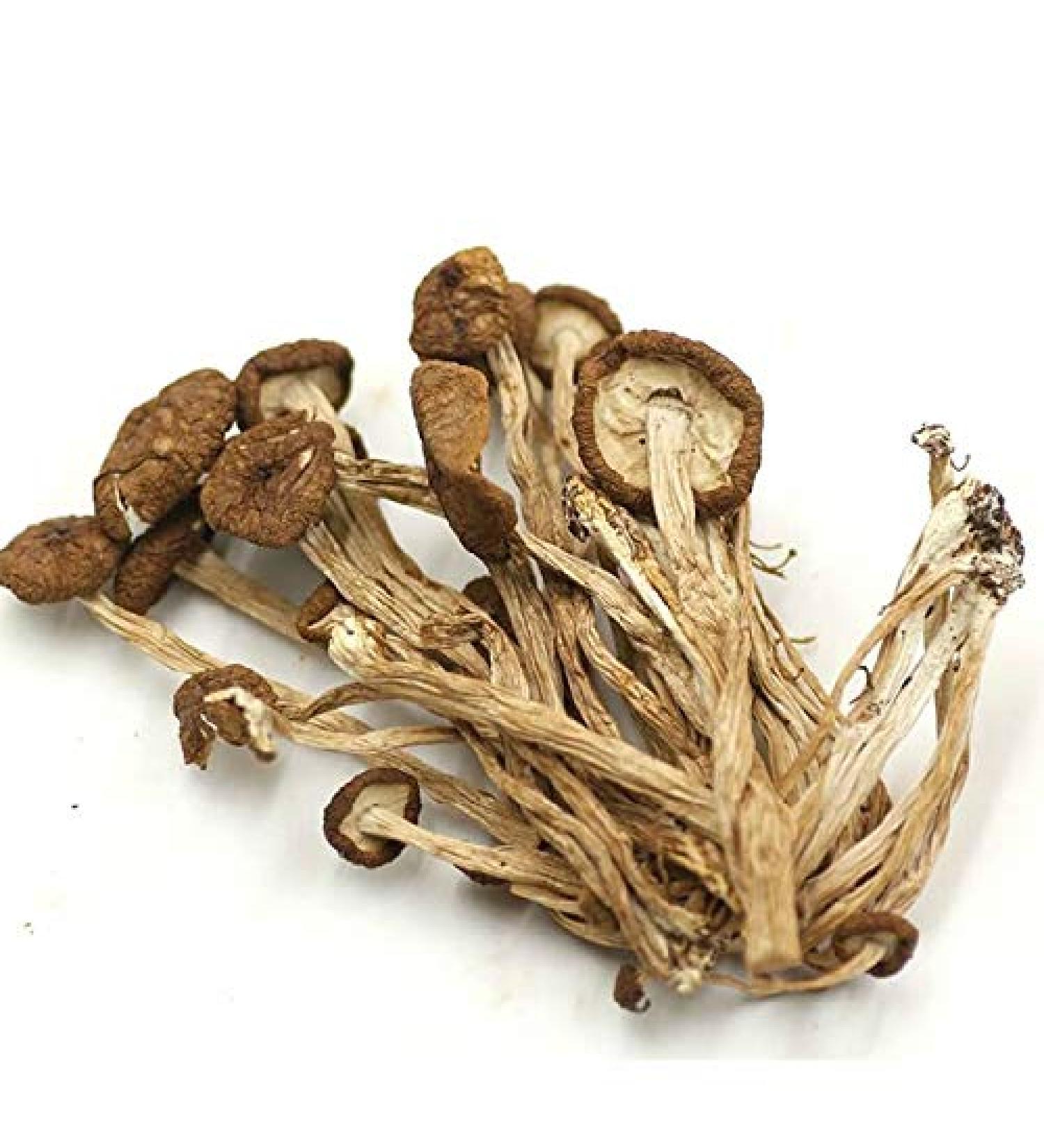 Shopper's Freedom 250g Velvet Edible Dry Tea Tree Mushrooms Pioppini "Cha Shu Gu" Japanese Chinese Cooking Soups Dehydrated Chinese Chashu Mushrooms Vegetarian