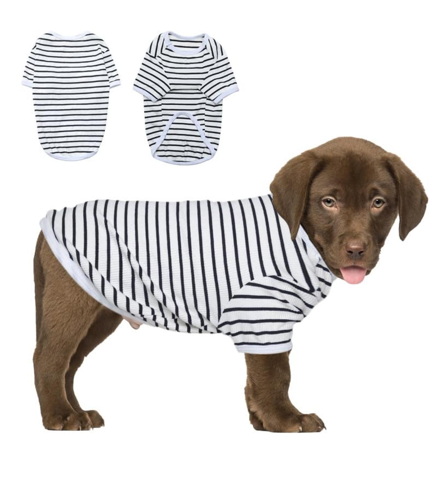 Petsmil Thin Striped Dog Sweater for Small Dogs & Cats - Stretchy Black & White Shirt for Chihuahuas & French Bulldogs - International Shipping Available - Buy Online on GoSupps.com