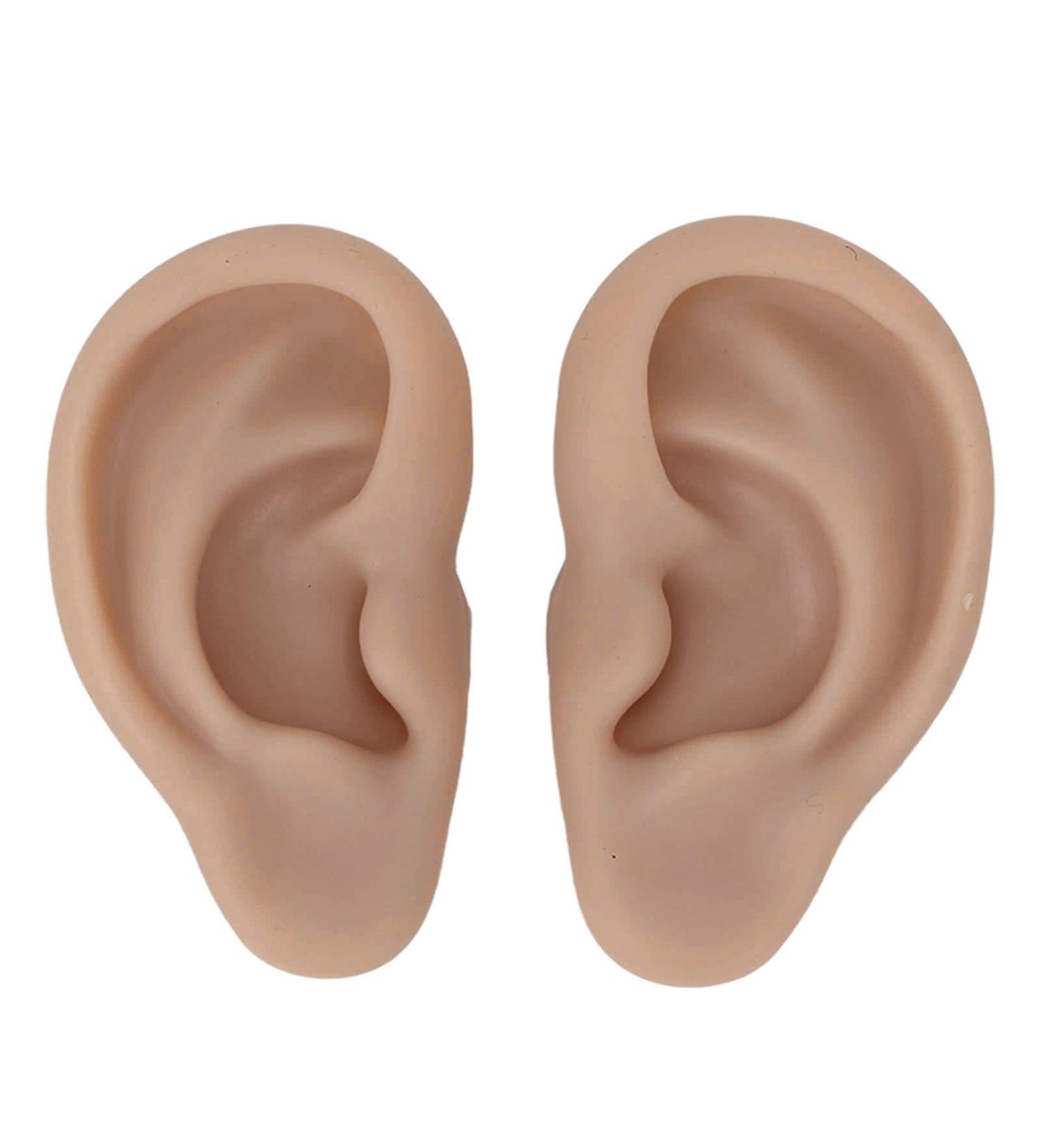 Silicone Ear Model for Earrings | Flexible Simulation Ear for Jewelry Display & Acupuncture Training - 1 Pair (Brown) - Buy Online on GoSupps.com