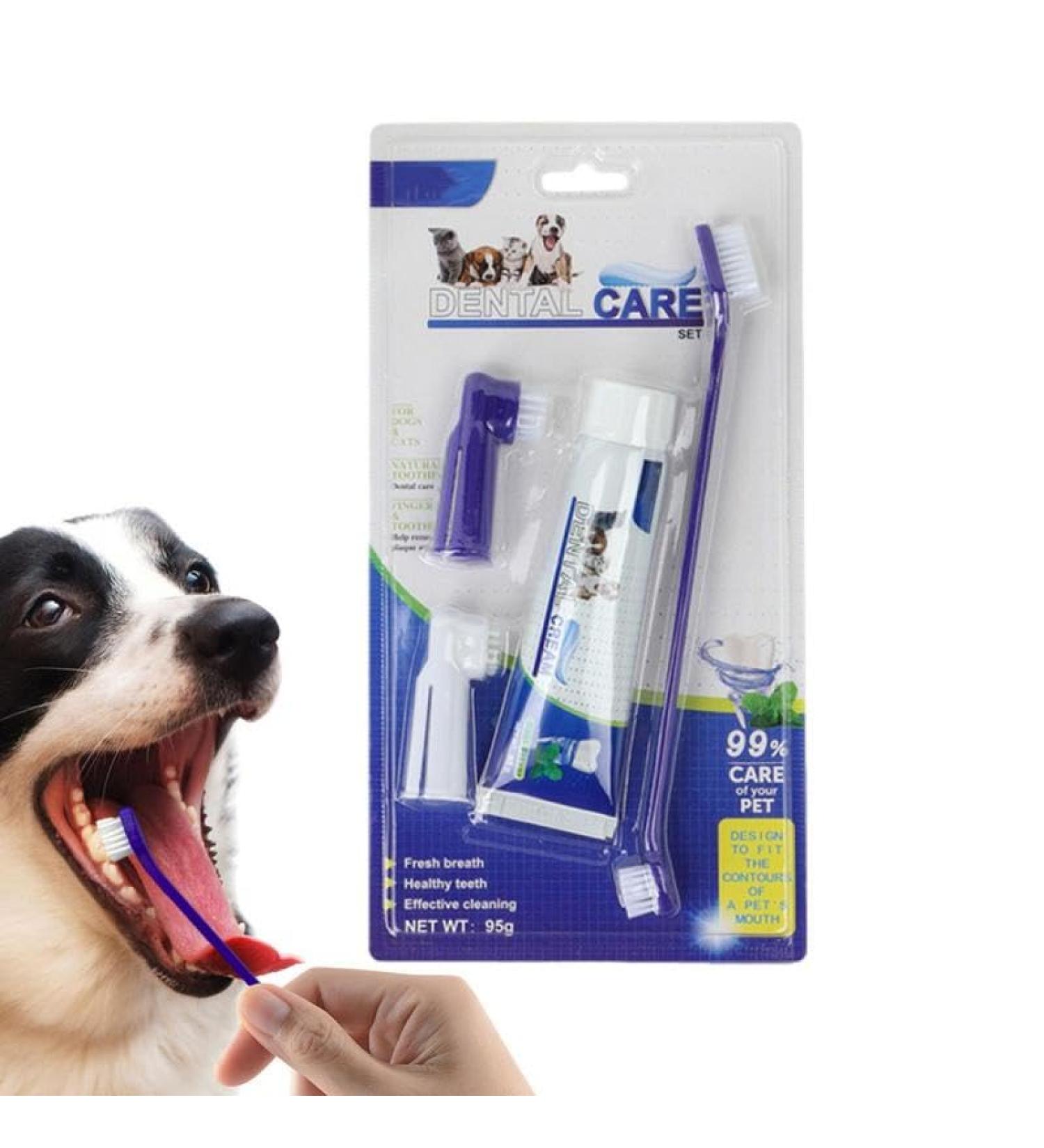 YANGYANGDA Toothbrush and Toothpaste Cat Fingerbrush Toothpaste Set Pet Store Hospital Shelter Teeth Care Kit for Fresh Breath for Puppies - Buy Online on GoSupps.com