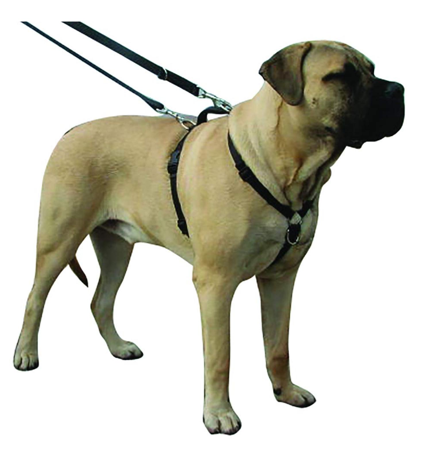 Kumfi Canine Kumfi Complete Control Harness Size XL Black XL